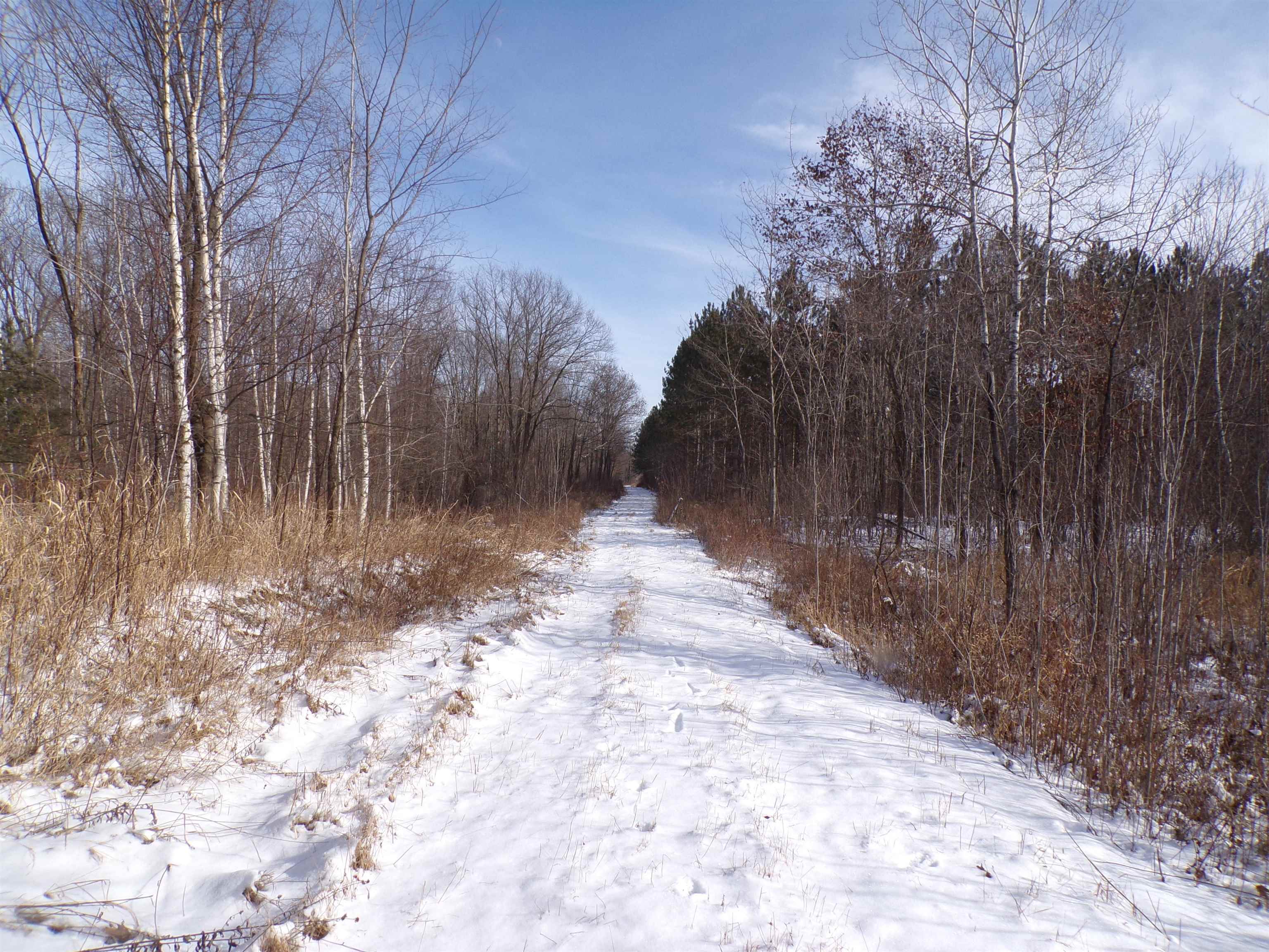 N11904 GORMAN AVENUE, Thorp, Wisconsin 54771, ,Land,For Sale,N11904 GORMAN AVENUE,22500548