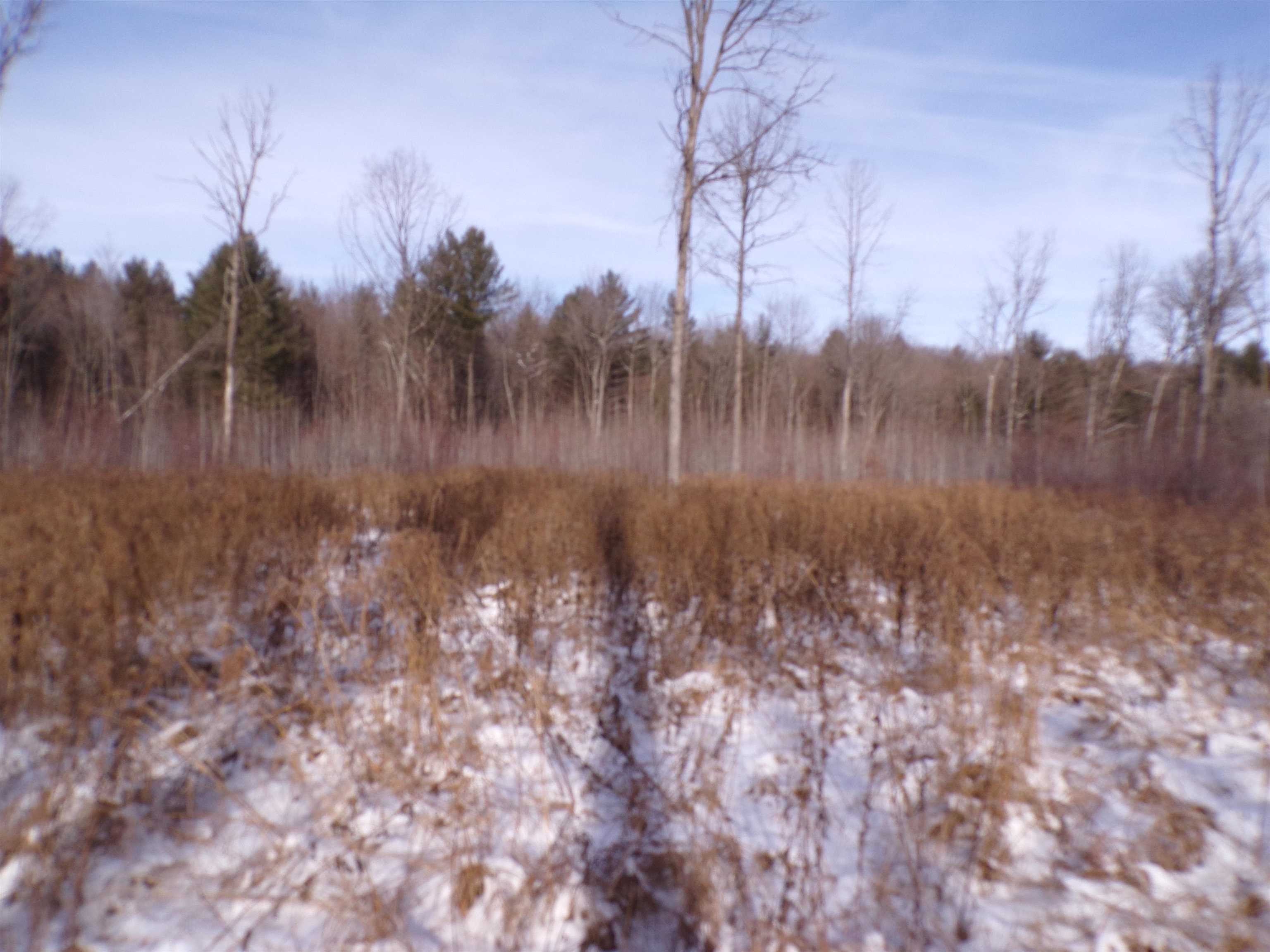 N11904 GORMAN AVENUE, Thorp, Wisconsin 54771, ,Land,For Sale,N11904 GORMAN AVENUE,22500548