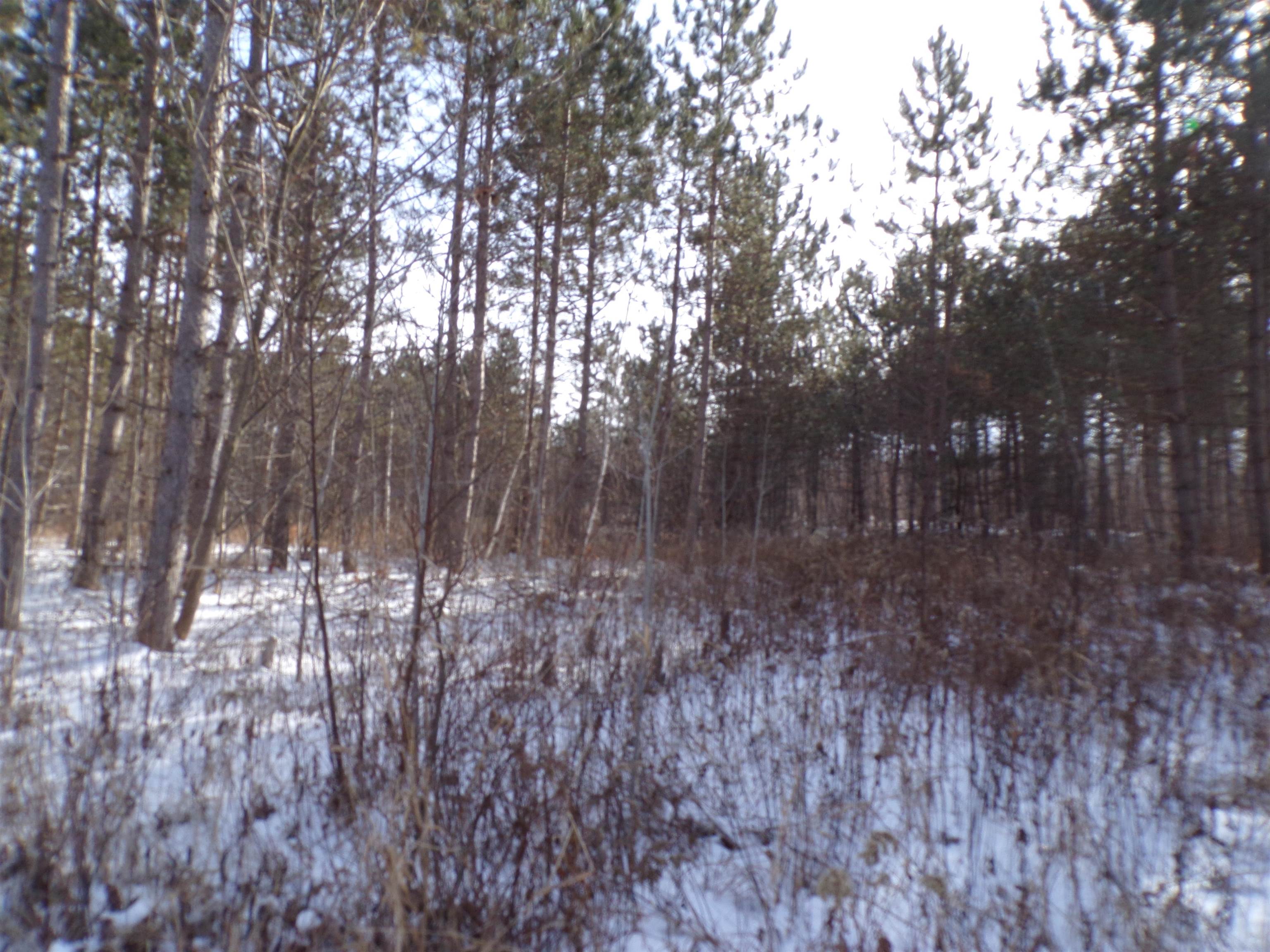N11904 GORMAN AVENUE, Thorp, Wisconsin 54771, ,Land,For Sale,N11904 GORMAN AVENUE,22500548