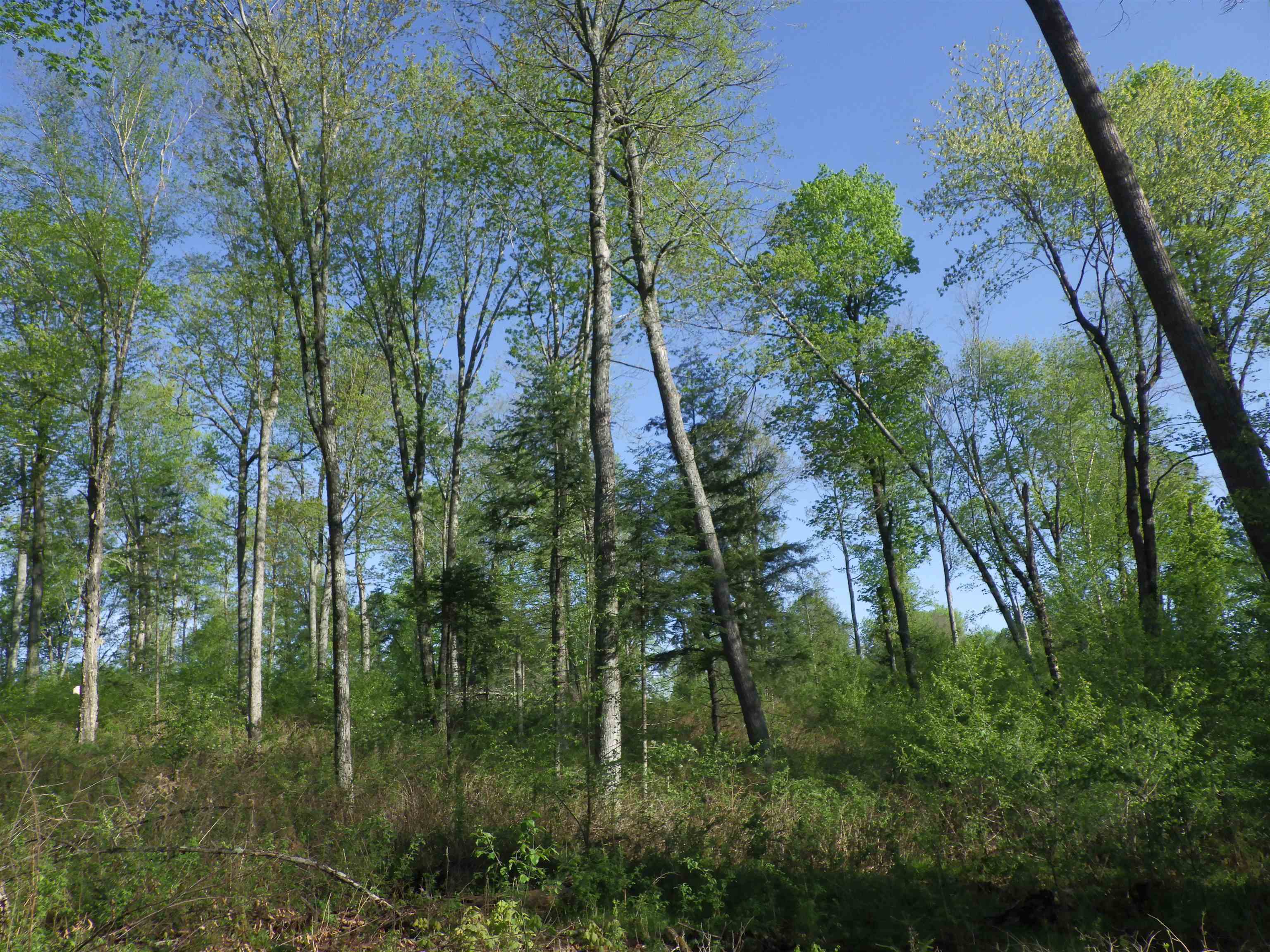 BEHNKE ROAD, Wausau, Wisconsin 54403, ,Land,For Sale,BEHNKE ROAD,22500571