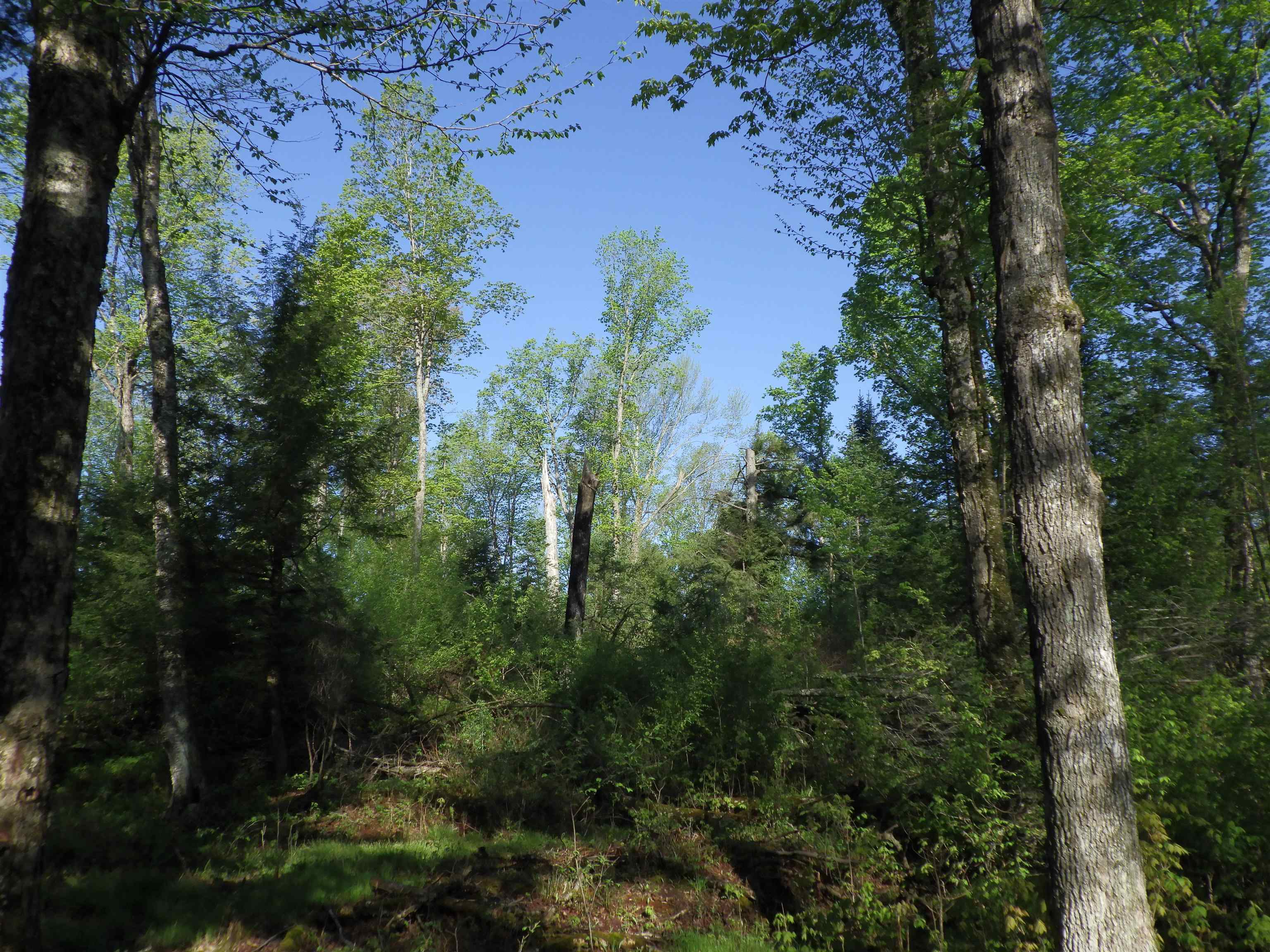 BEHNKE ROAD, Wausau, Wisconsin 54403, ,Land,For Sale,BEHNKE ROAD,22500571