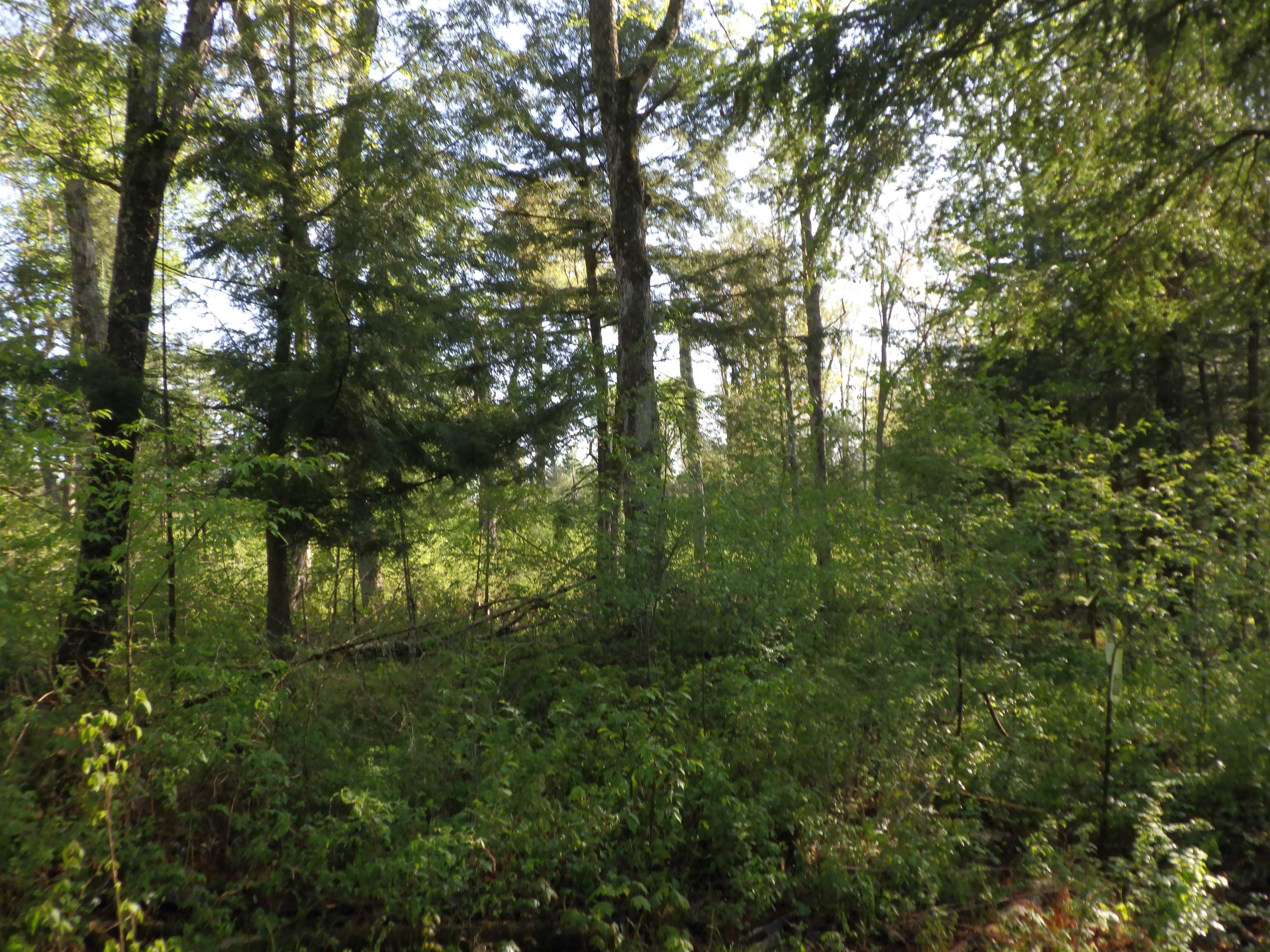 BEHNKE ROAD, Wausau, Wisconsin 54403, ,Land,For Sale,BEHNKE ROAD,22500571