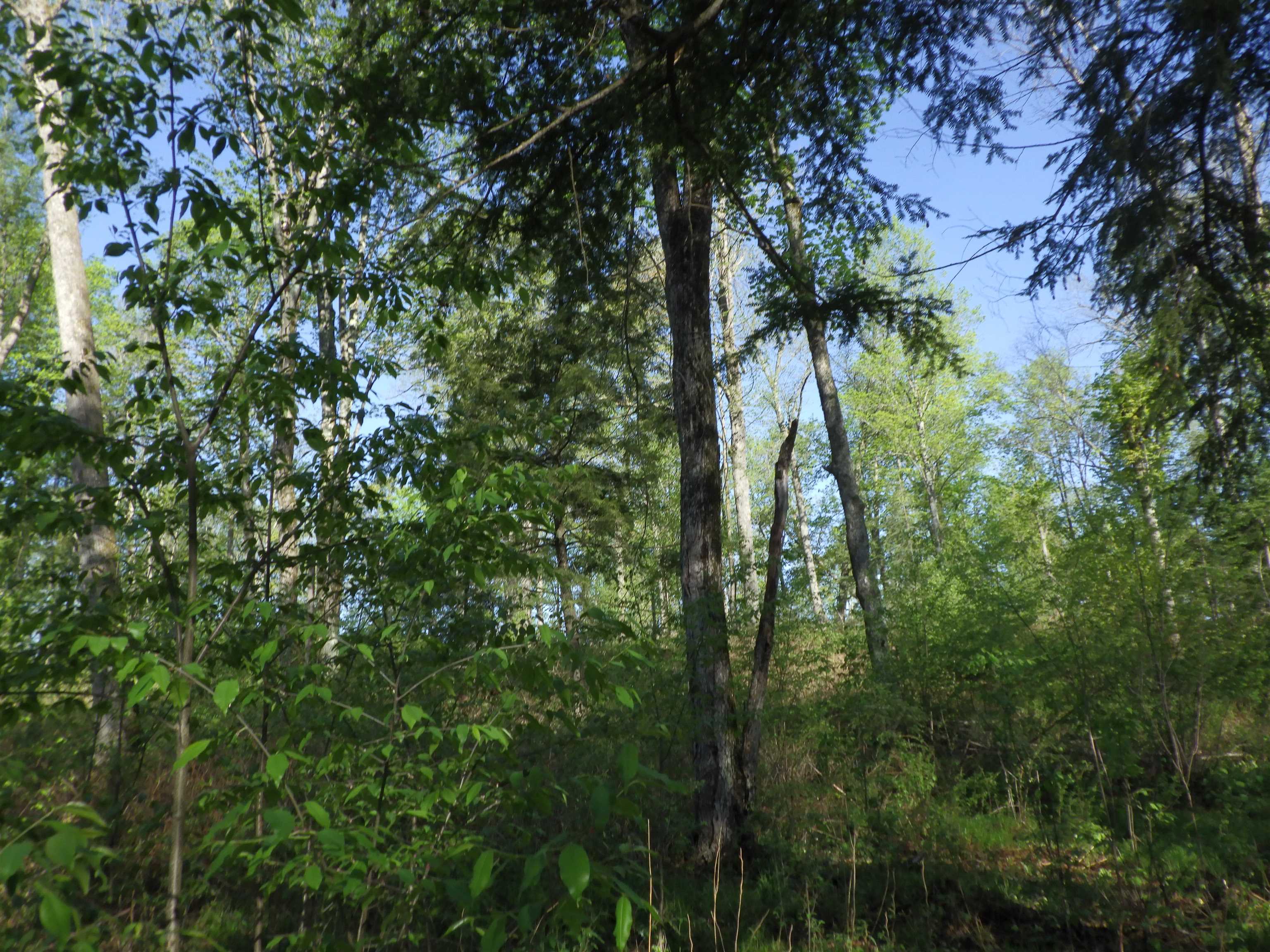 BEHNKE ROAD, Wausau, Wisconsin 54403, ,Land,For Sale,BEHNKE ROAD,22500571