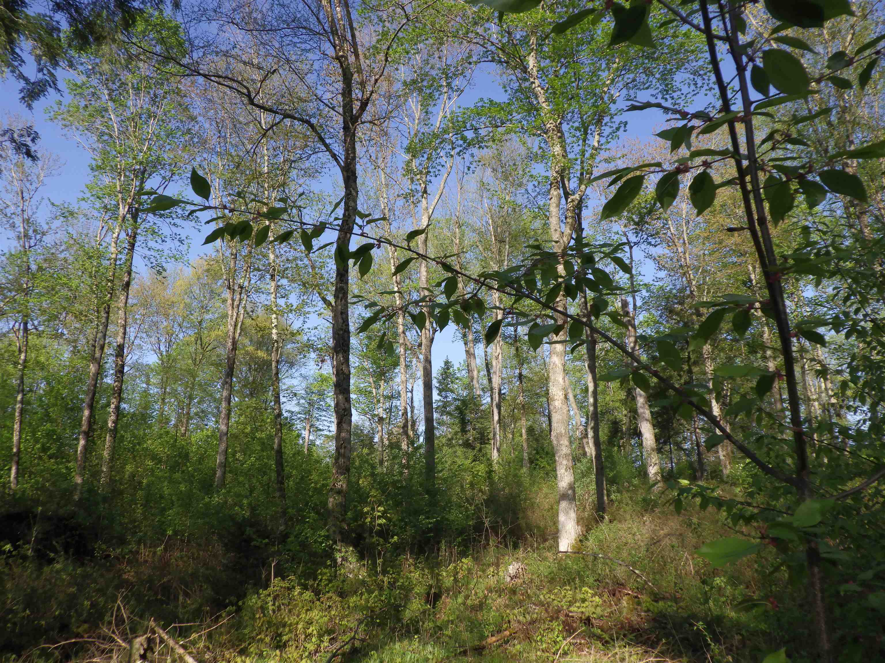 BEHNKE ROAD, Wausau, Wisconsin 54403, ,Land,For Sale,BEHNKE ROAD,22500571