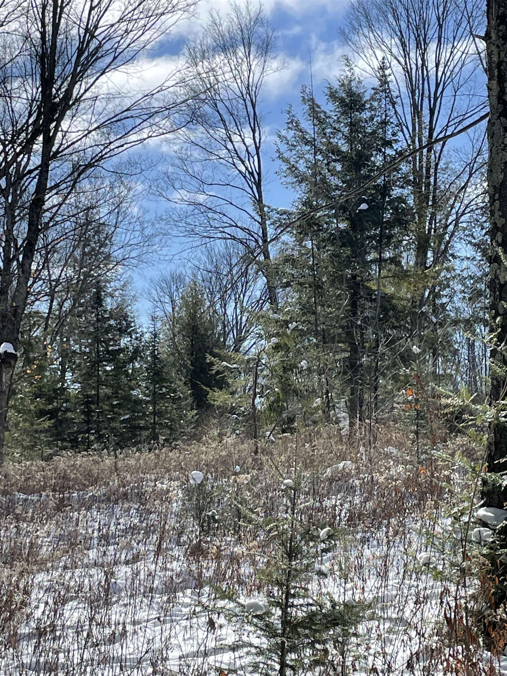 BEHNKE ROAD, Wausau, Wisconsin 54403, ,Land,For Sale,BEHNKE ROAD,22500571