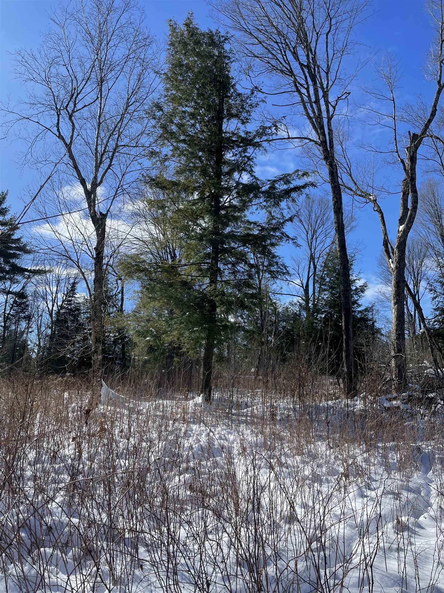 BEHNKE ROAD, Wausau, Wisconsin 54403, ,Land,For Sale,BEHNKE ROAD,22500571