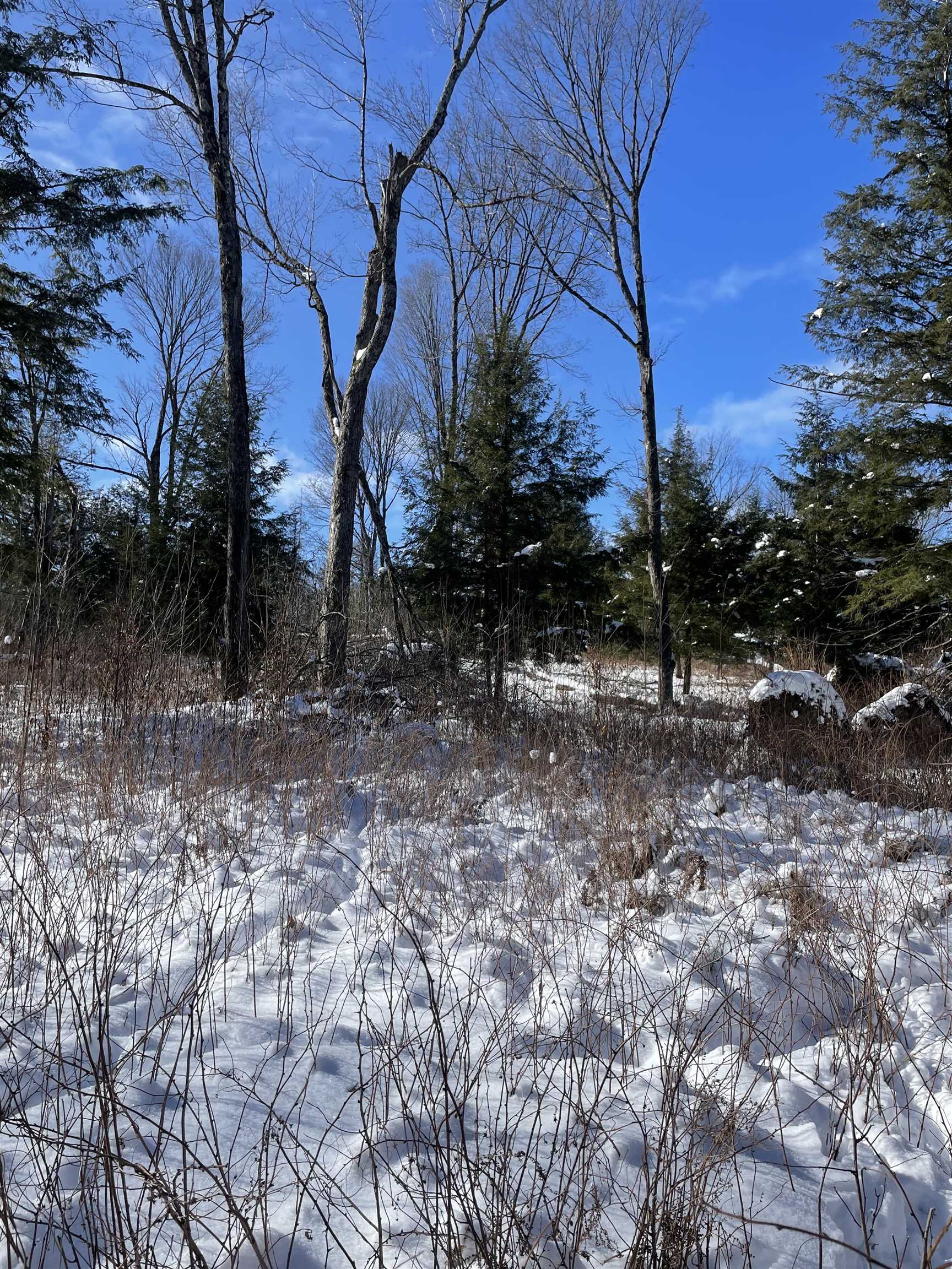 BEHNKE ROAD, Wausau, Wisconsin 54403, ,Land,For Sale,BEHNKE ROAD,22500571