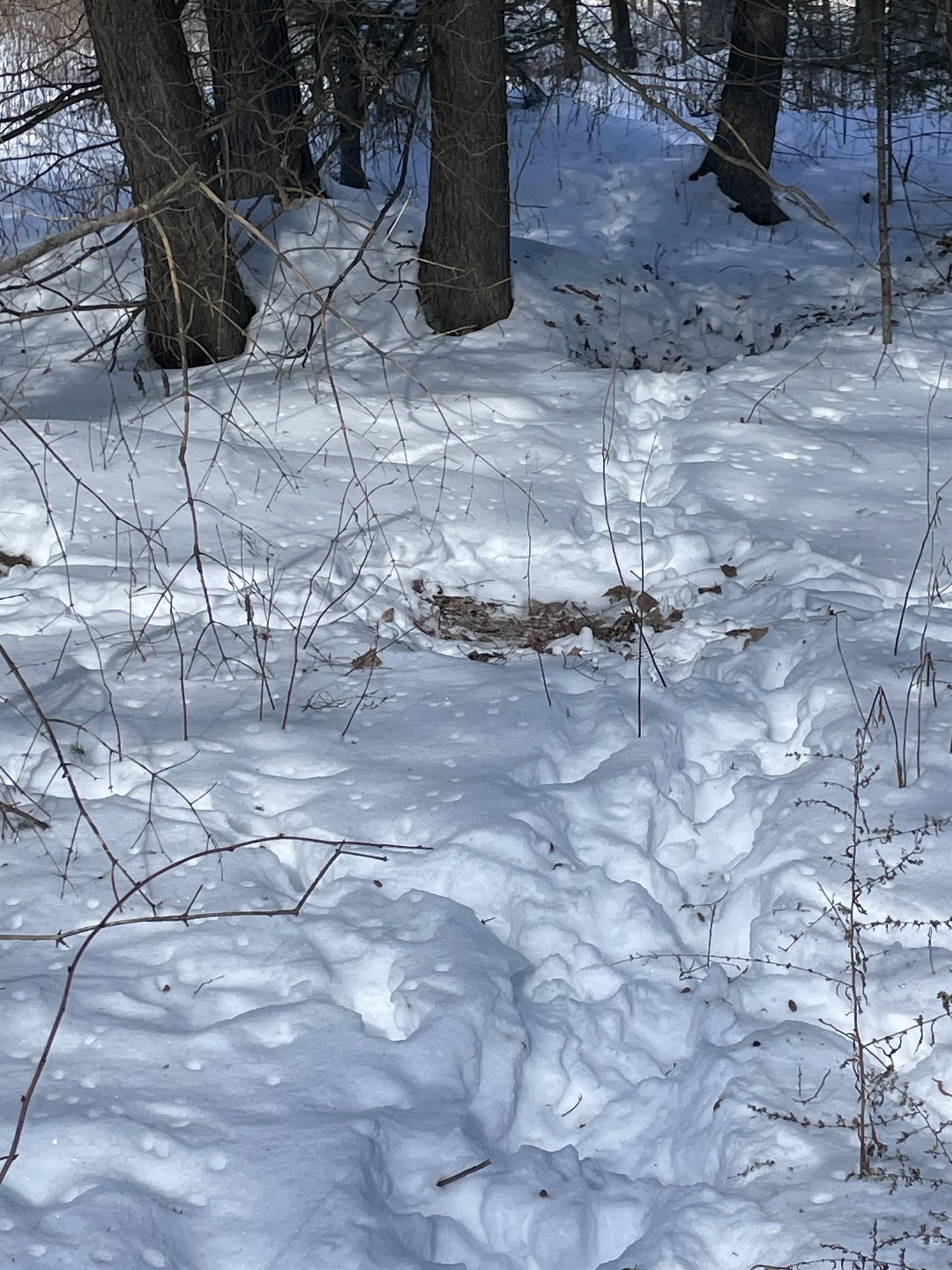 BEHNKE ROAD, Wausau, Wisconsin 54403, ,Land,For Sale,BEHNKE ROAD,22500571