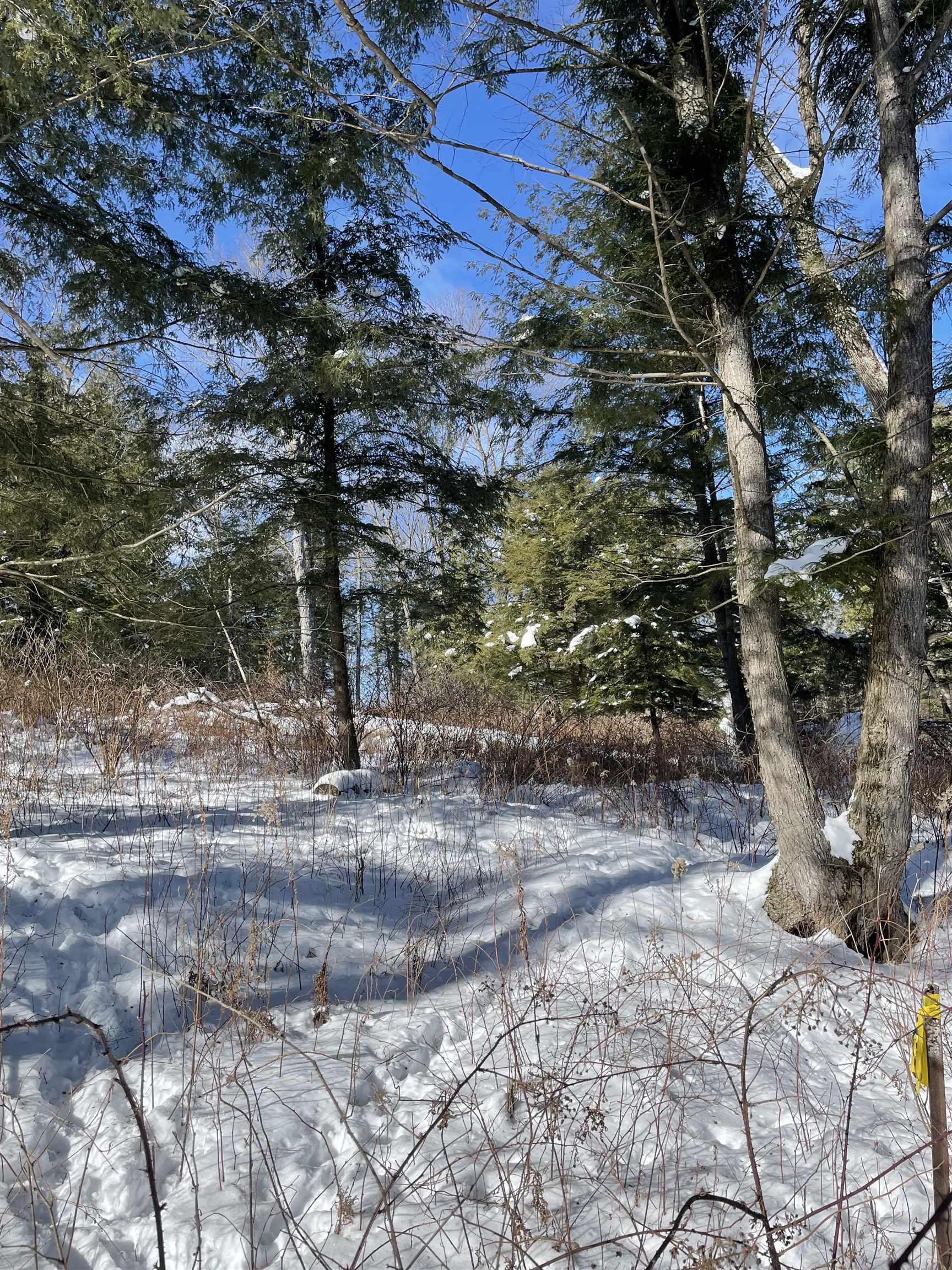 BEHNKE ROAD, Wausau, Wisconsin 54403, ,Land,For Sale,BEHNKE ROAD,22500571