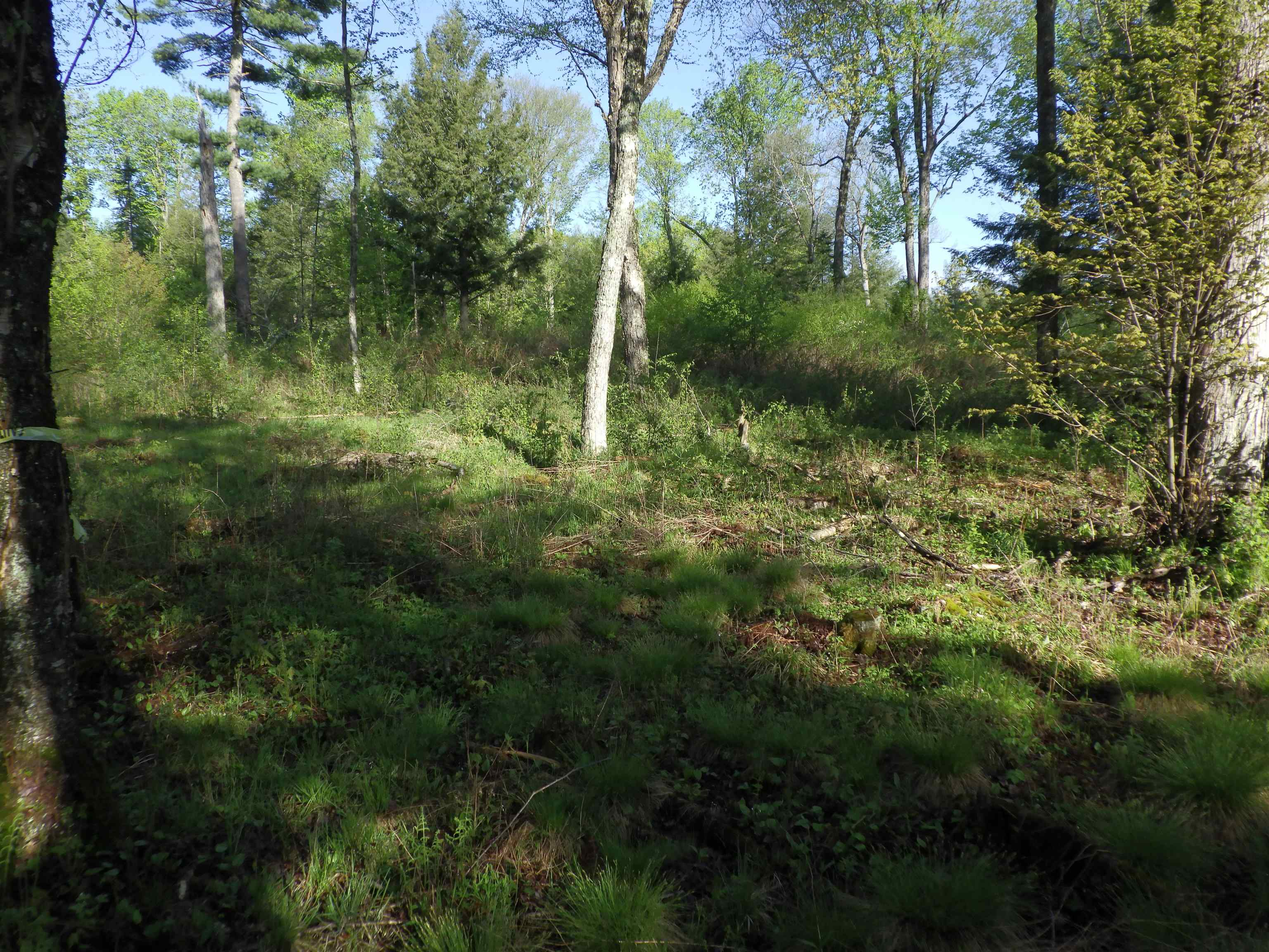 BEHNKE ROAD, Wausau, Wisconsin 54403, ,Land,For Sale,BEHNKE ROAD,22500571