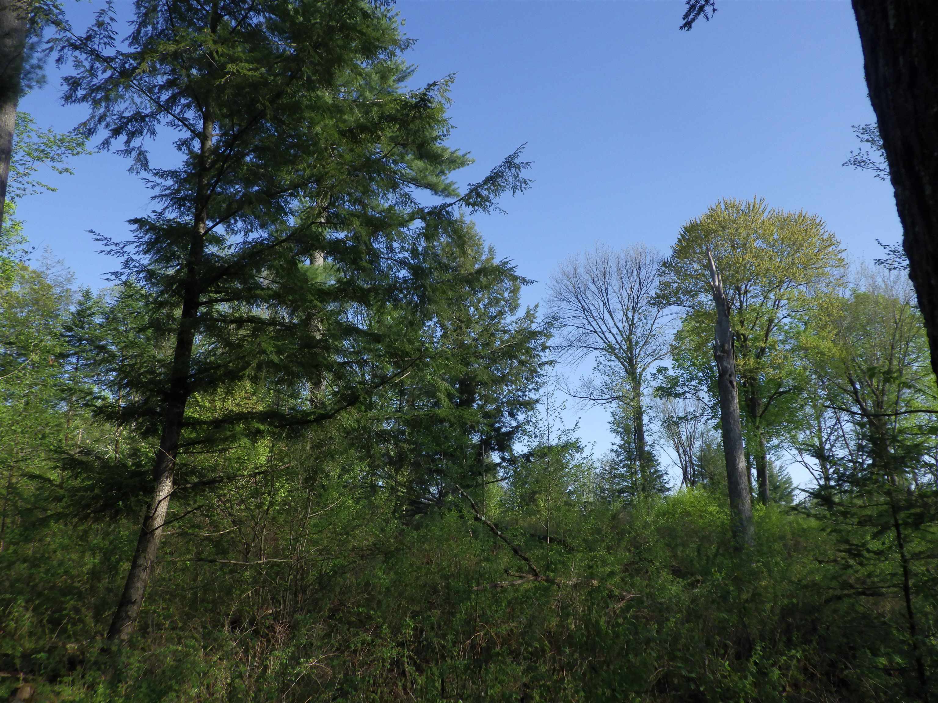 BEHNKE ROAD, Wausau, Wisconsin 54403, ,Land,For Sale,BEHNKE ROAD,22500571