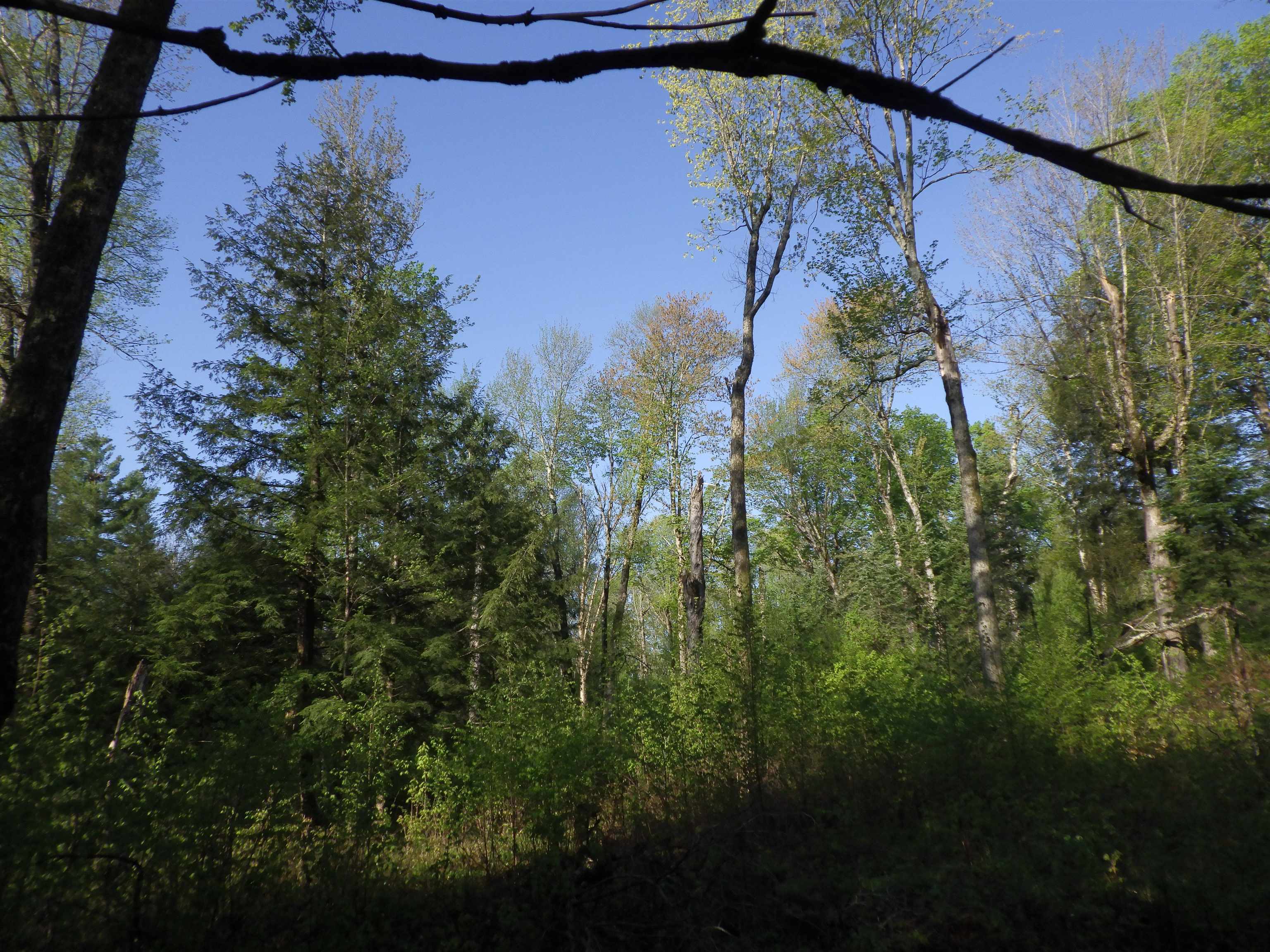 BEHNKE ROAD, Wausau, Wisconsin 54403, ,Land,For Sale,BEHNKE ROAD,22500571