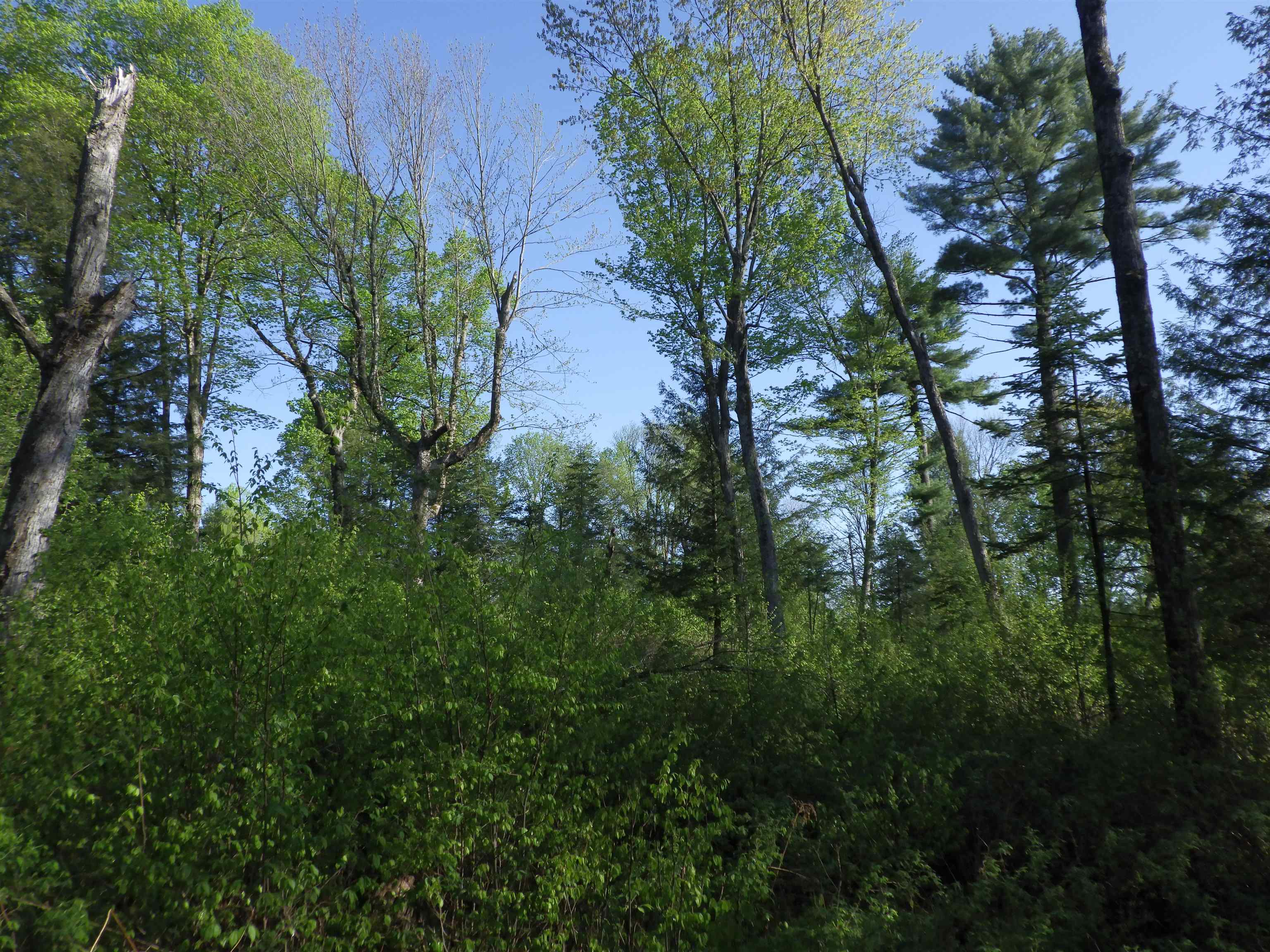 BEHNKE ROAD, Wausau, Wisconsin 54403, ,Land,For Sale,BEHNKE ROAD,22500571