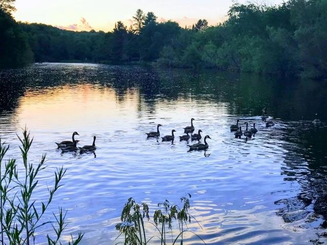 N2580 STATE HIGHWAY 55, White Lake, Wisconsin 54491, ,Commercial/industrial,For Sale,N2580 STATE HIGHWAY 55,22500601