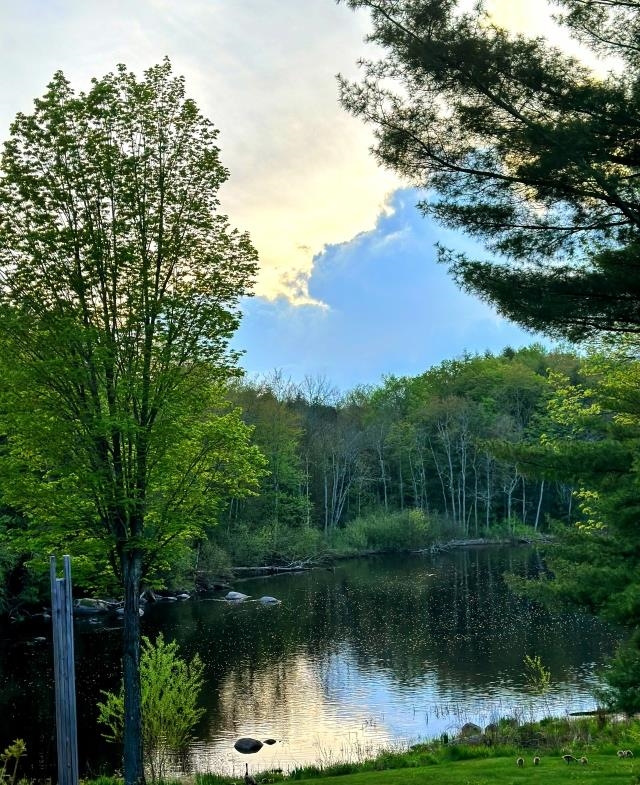 N2580 STATE HIGHWAY 55, White Lake, Wisconsin 54491, ,Commercial/industrial,For Sale,N2580 STATE HIGHWAY 55,22500601