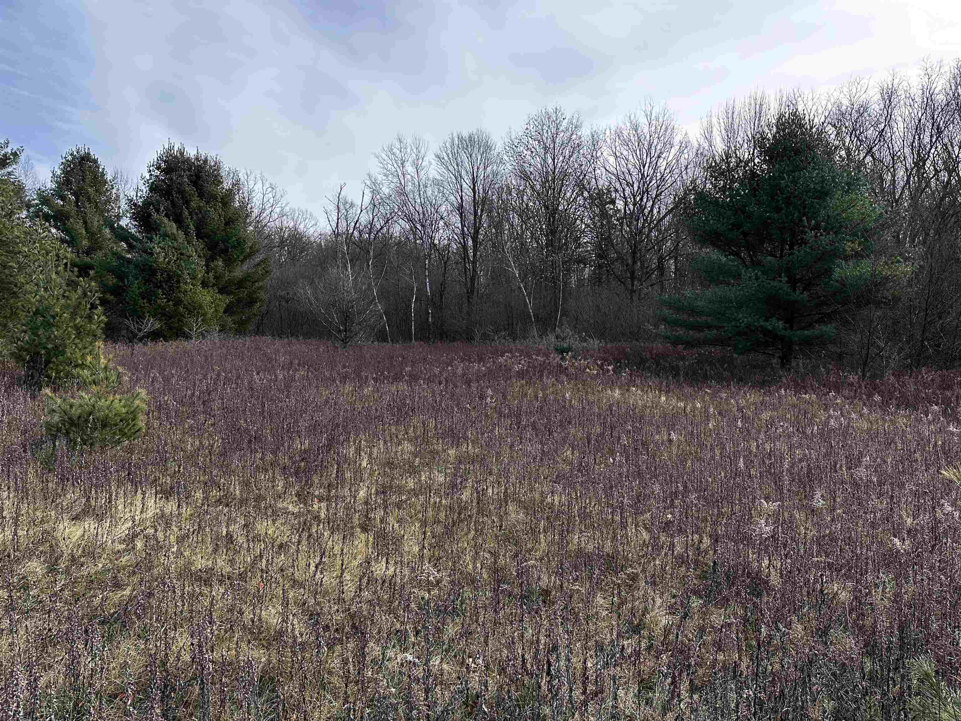 00 Saumer Road