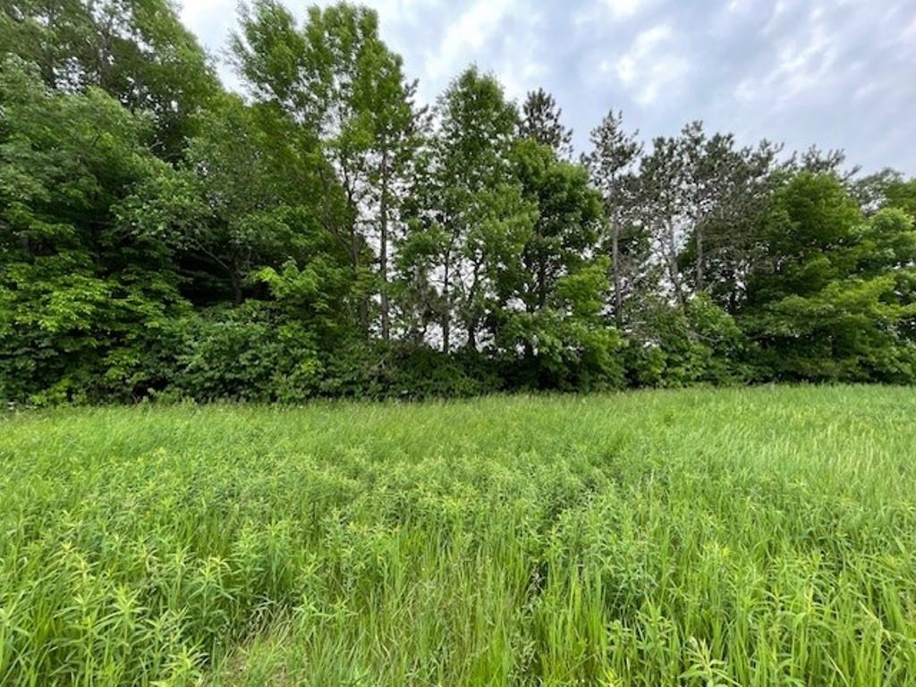 1509 BENT STICK DRIVE, Wausau, Wisconsin 54403, ,Land,For Sale,1509 BENT STICK DRIVE,22500760