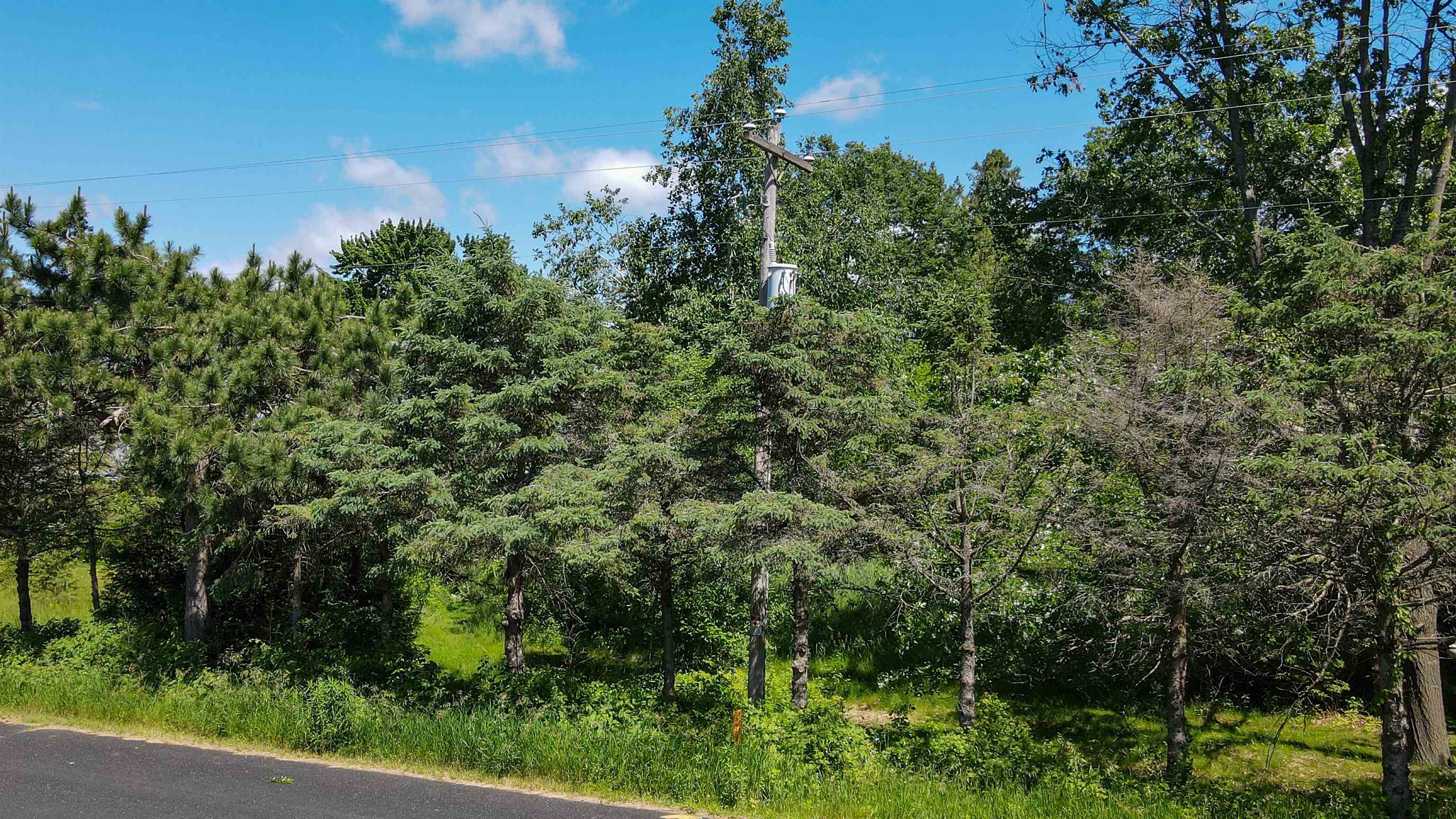 Lot 8 WEST RIVER ROAD, Mosinee, Wisconsin 54455, ,Land,For Sale,Lot 8 WEST RIVER ROAD,22500801