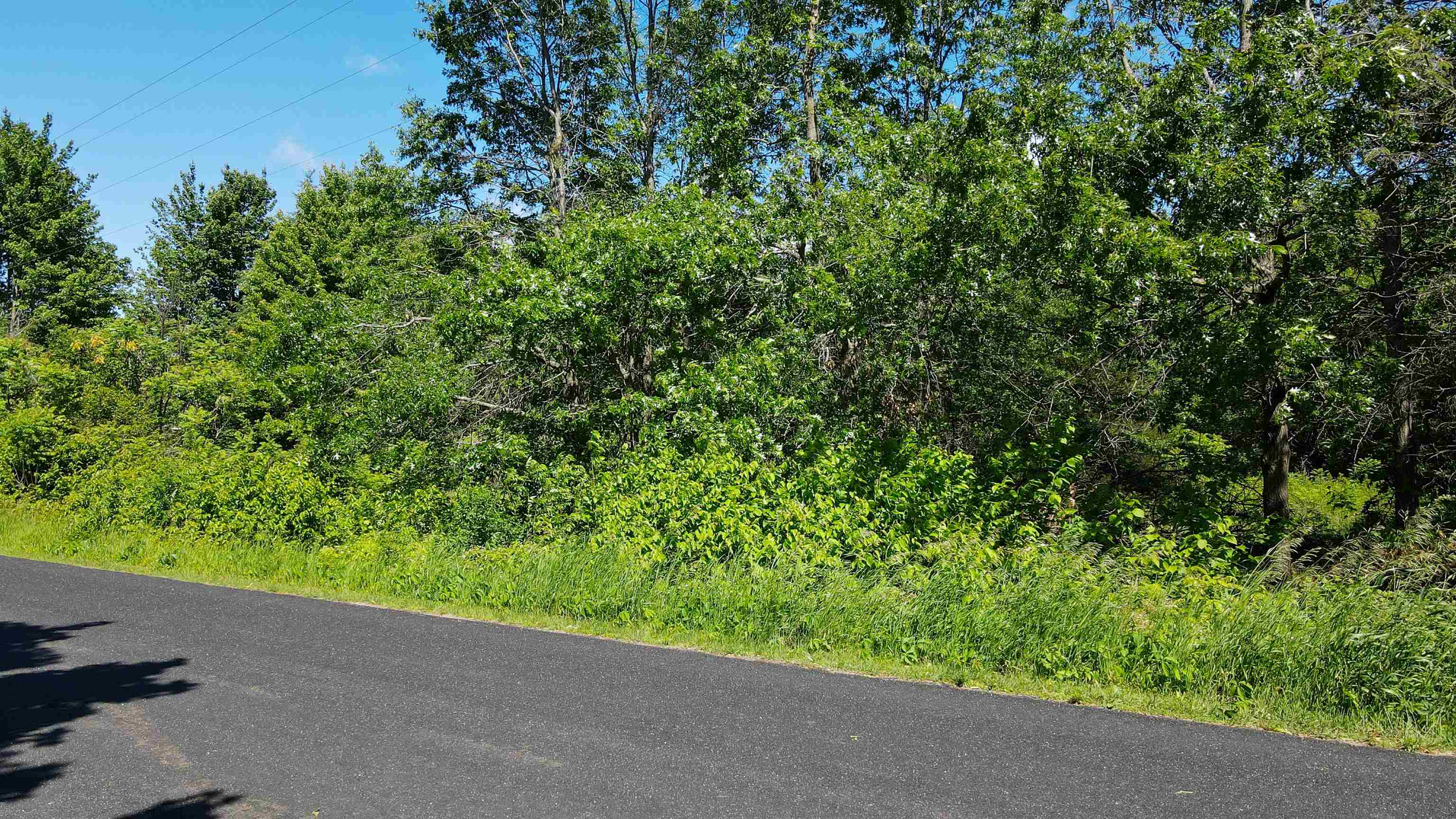 Lot 8 WEST RIVER ROAD, Mosinee, Wisconsin 54455, ,Land,For Sale,Lot 8 WEST RIVER ROAD,22500801