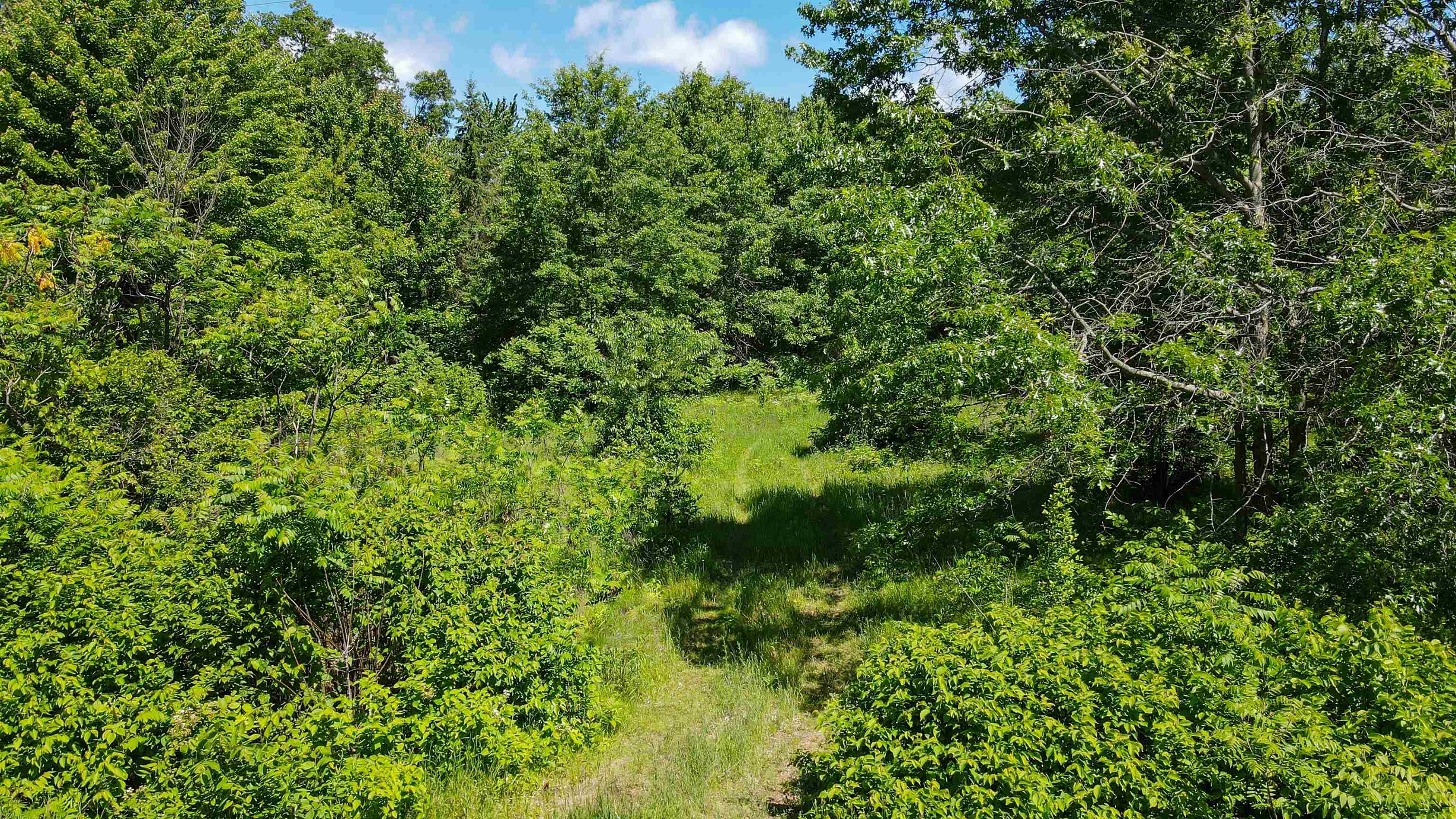 Lot 8 WEST RIVER ROAD, Mosinee, Wisconsin 54455, ,Land,For Sale,Lot 8 WEST RIVER ROAD,22500801