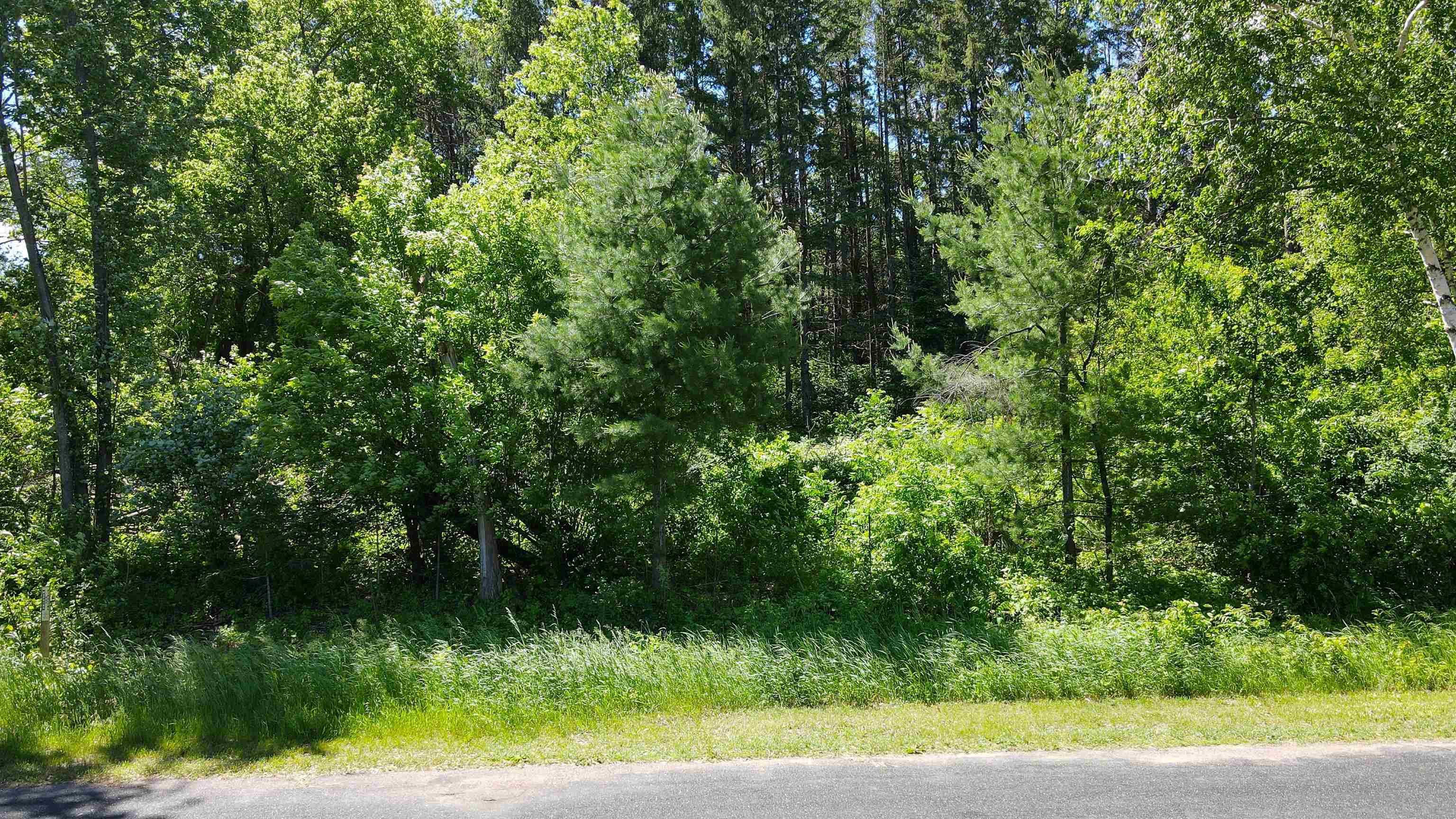 #2-1 Lot BAYVIEW DRIVE, Mosinee, Wisconsin 54455, ,Land,For Sale,#2-1 Lot BAYVIEW DRIVE,22500802