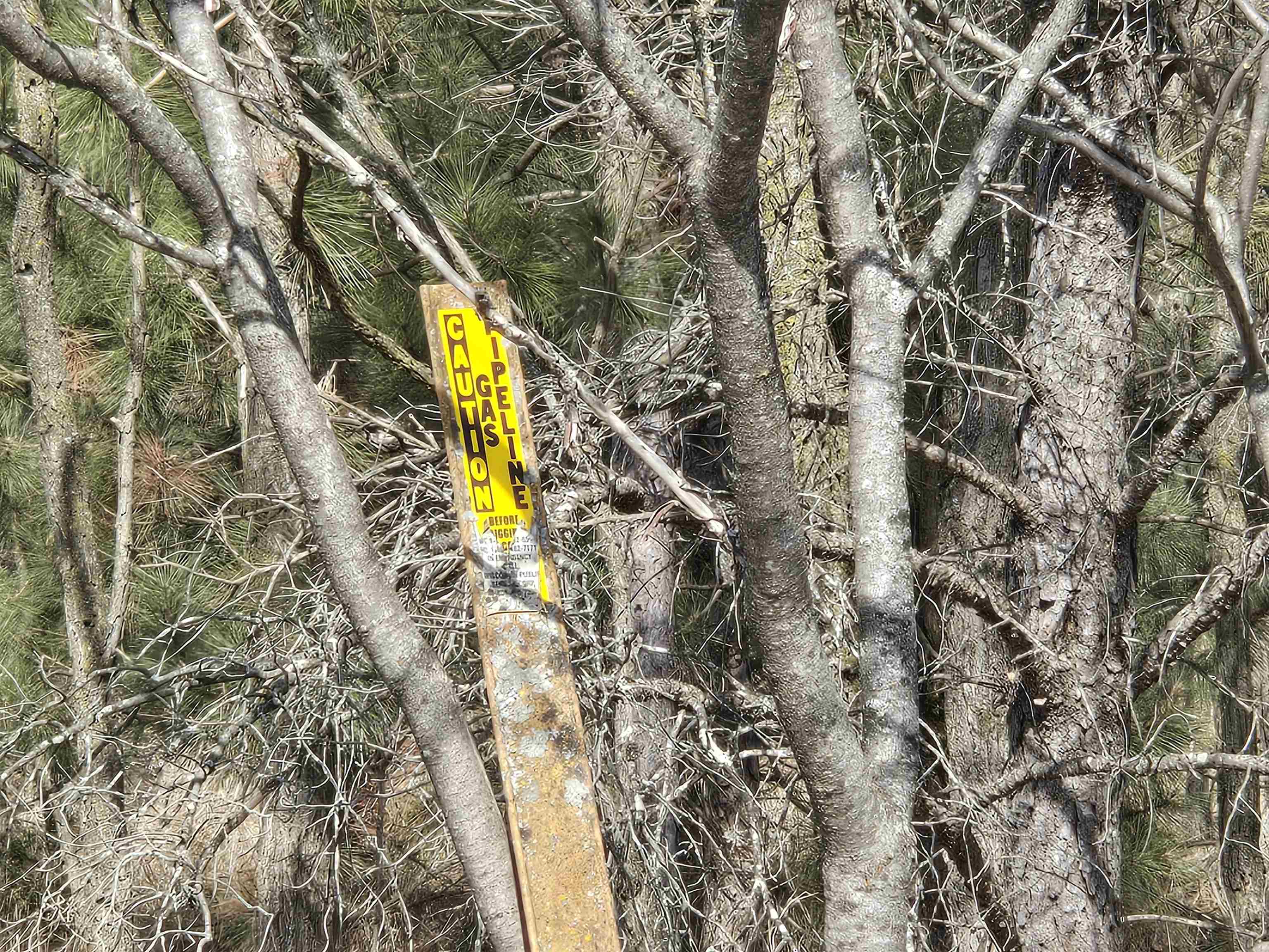 NO-213-1 ROCKY ROAD, Tomahawk, Wisconsin 54487, ,Commercial/industrial,For Sale,NO-213-1 ROCKY ROAD,22500898