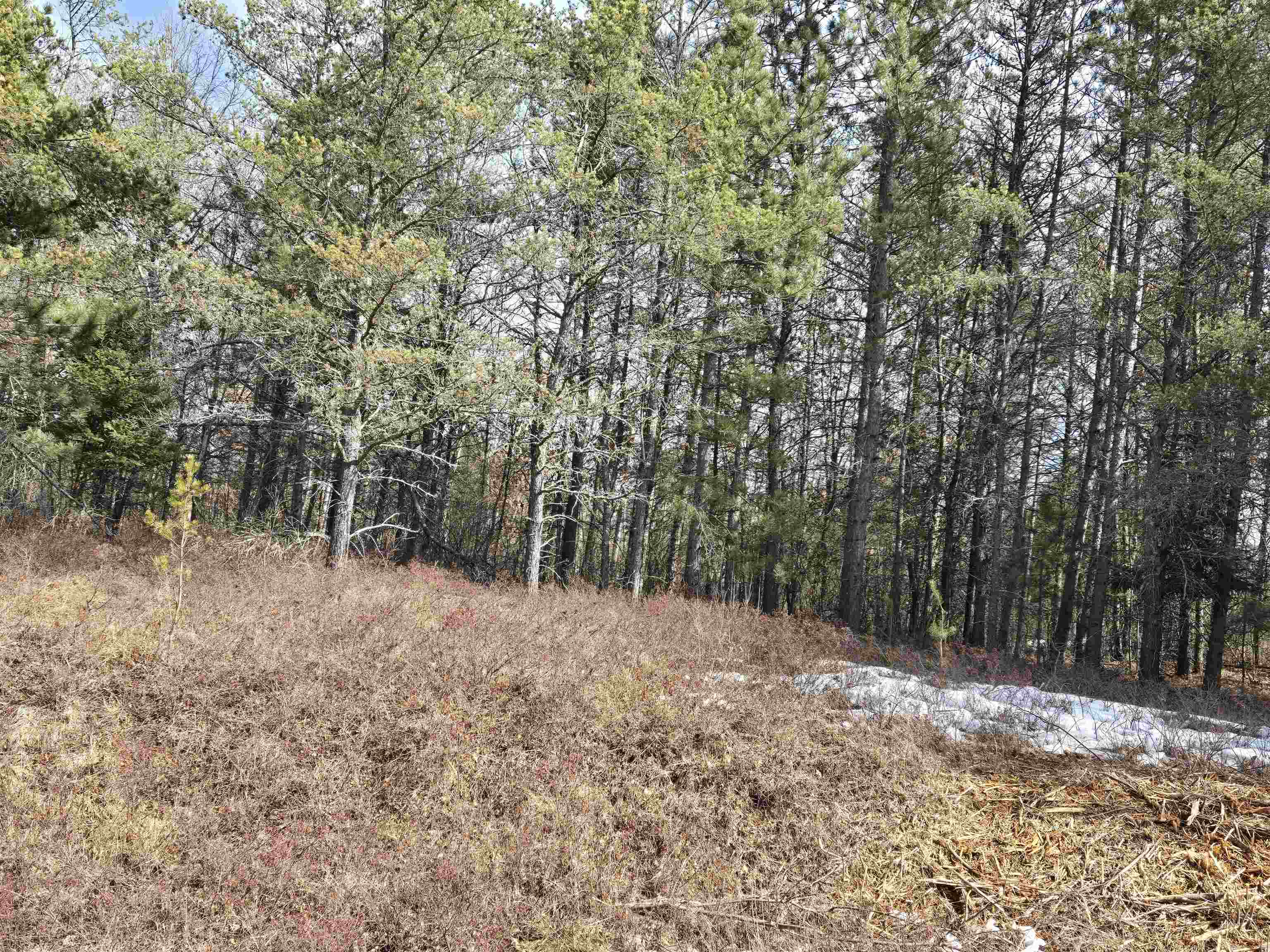 NO-213-1 ROCKY ROAD, Tomahawk, Wisconsin 54487, ,Commercial/industrial,For Sale,NO-213-1 ROCKY ROAD,22500898