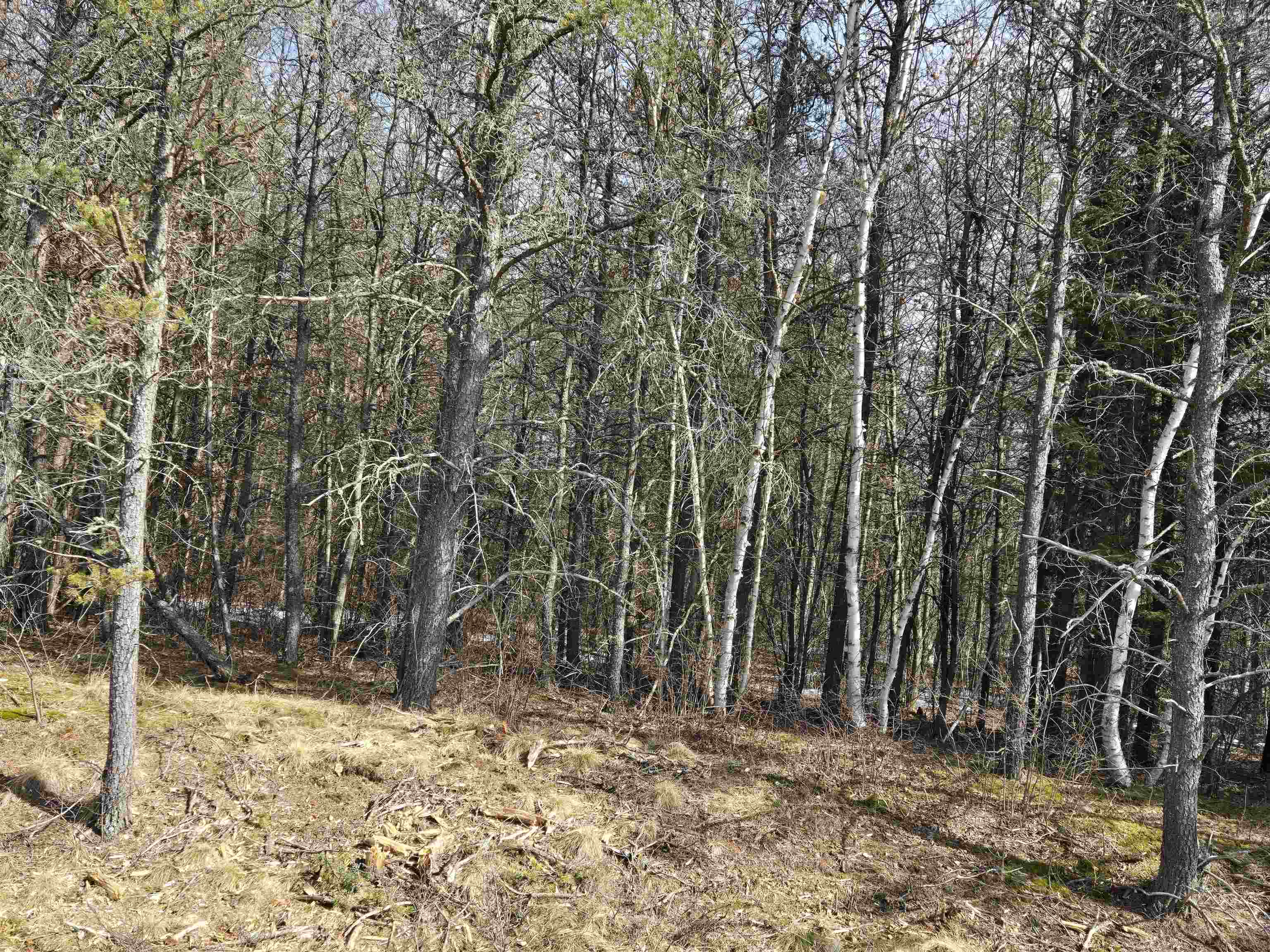 NO-213-1 ROCKY ROAD, Tomahawk, Wisconsin 54487, ,Commercial/industrial,For Sale,NO-213-1 ROCKY ROAD,22500898