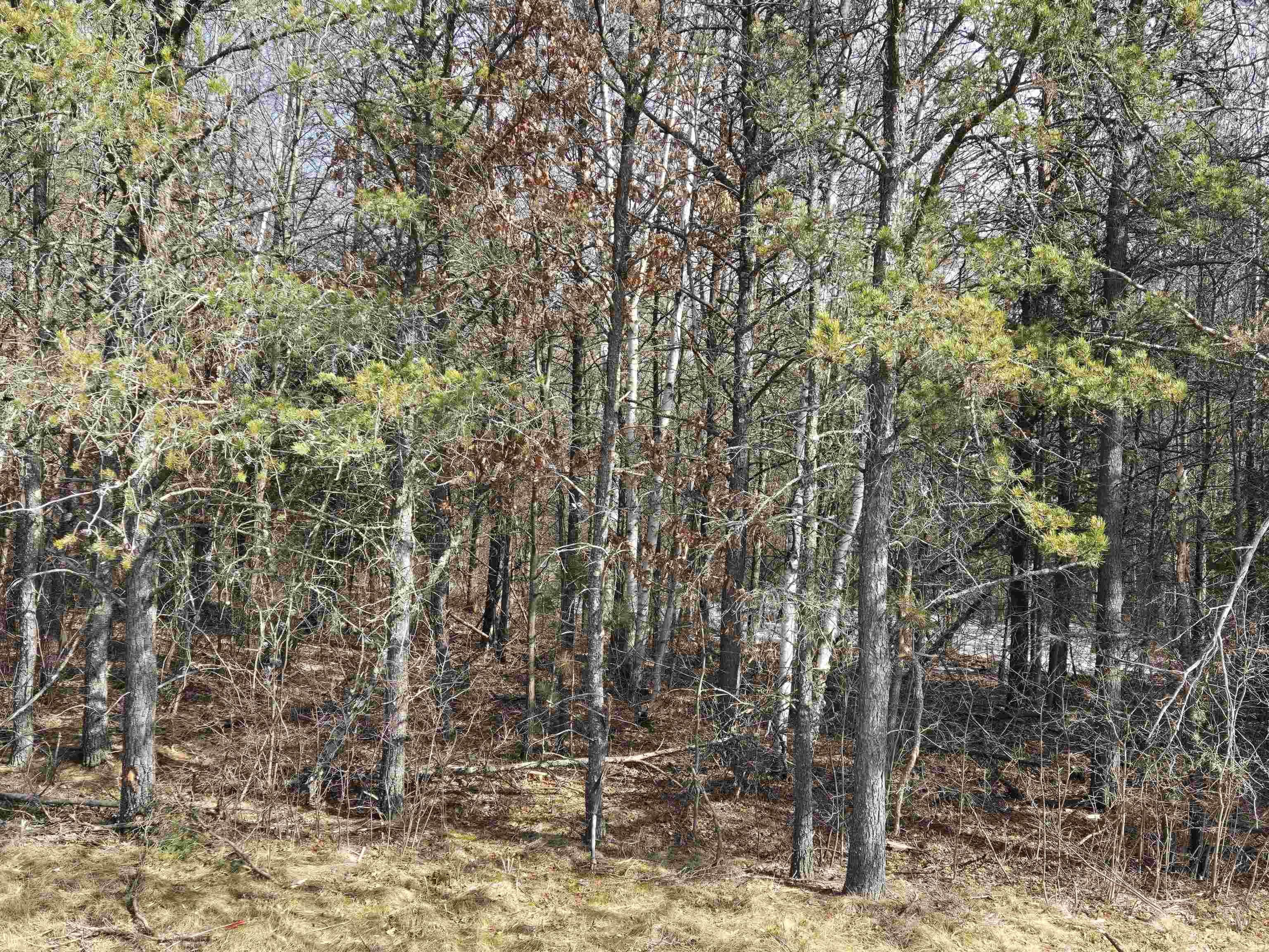 NO-213-1 ROCKY ROAD, Tomahawk, Wisconsin 54487, ,Commercial/industrial,For Sale,NO-213-1 ROCKY ROAD,22500898