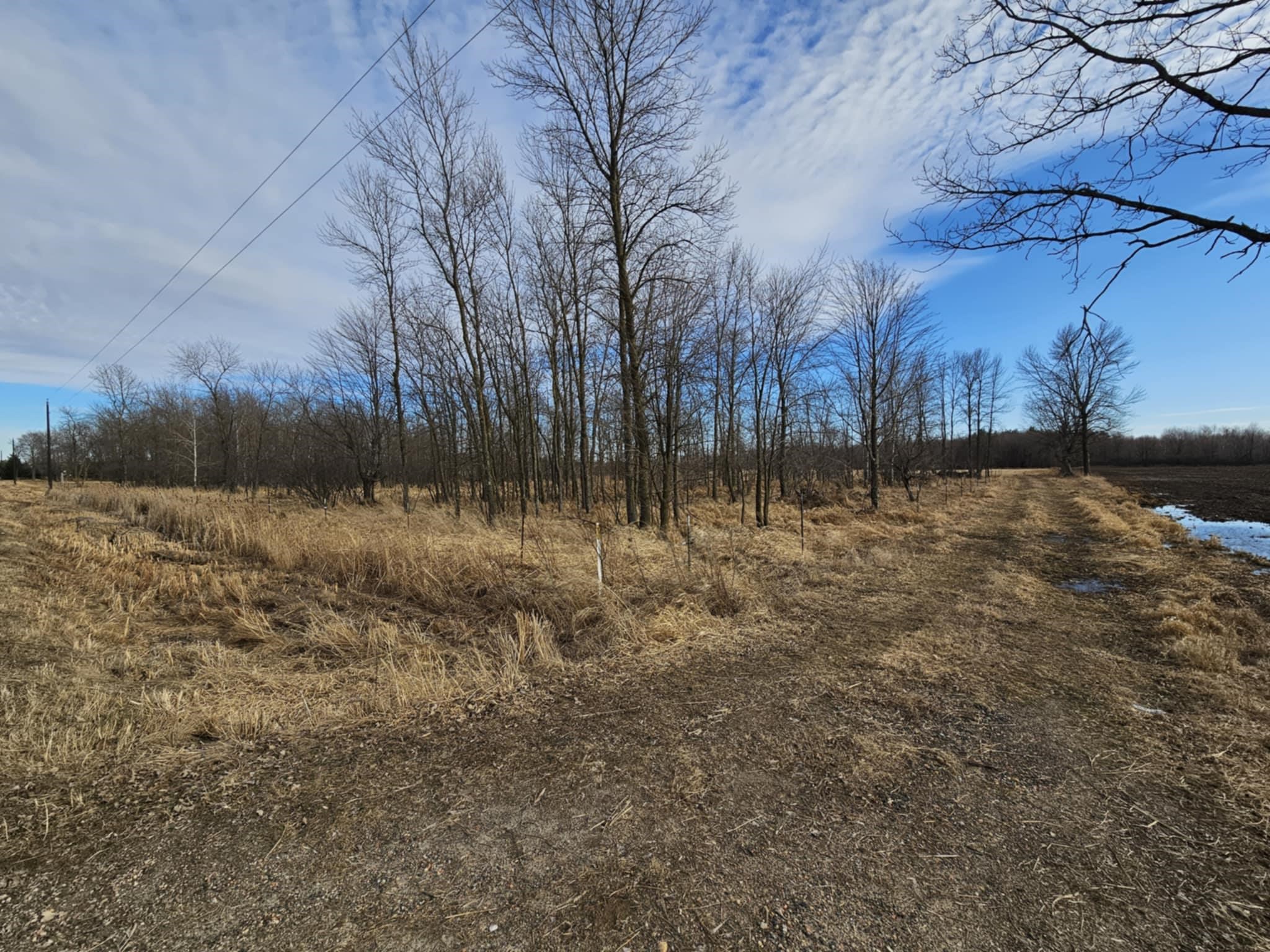 20 Acre Lot KLONDIKE DRIVE, Marshfield, Wisconsin 54449, ,Land,For Sale,20 Acre Lot KLONDIKE DRIVE,22500917