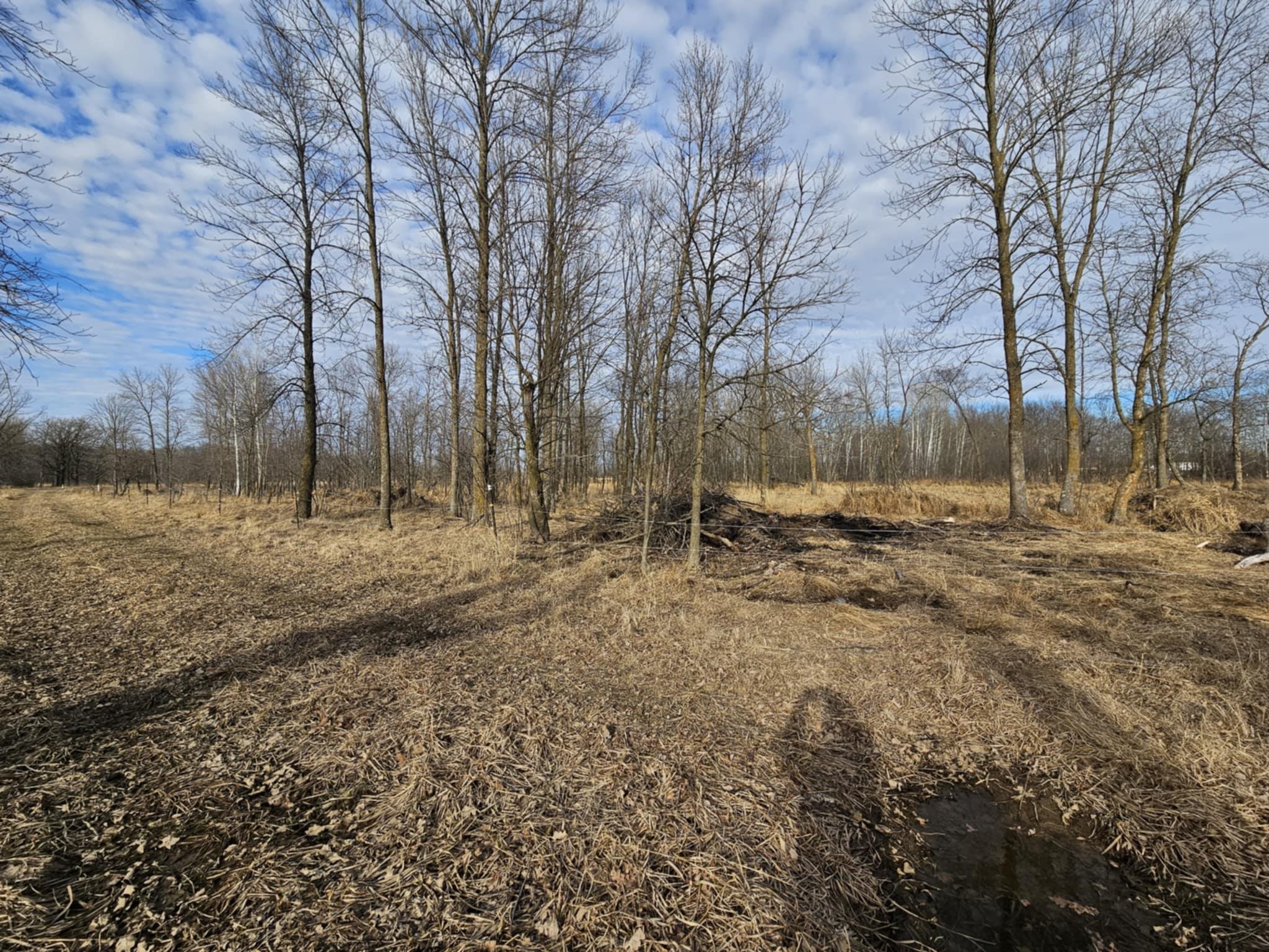 20 Acre Lot KLONDIKE DRIVE, Marshfield, Wisconsin 54449, ,Land,For Sale,20 Acre Lot KLONDIKE DRIVE,22500917