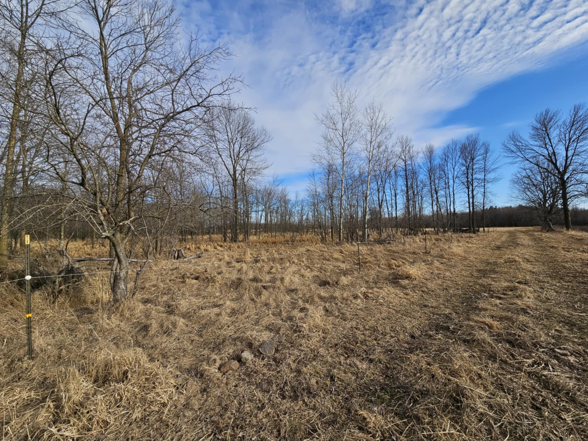 20 Acre Lot KLONDIKE DRIVE, Marshfield, Wisconsin 54449, ,Land,For Sale,20 Acre Lot KLONDIKE DRIVE,22500917