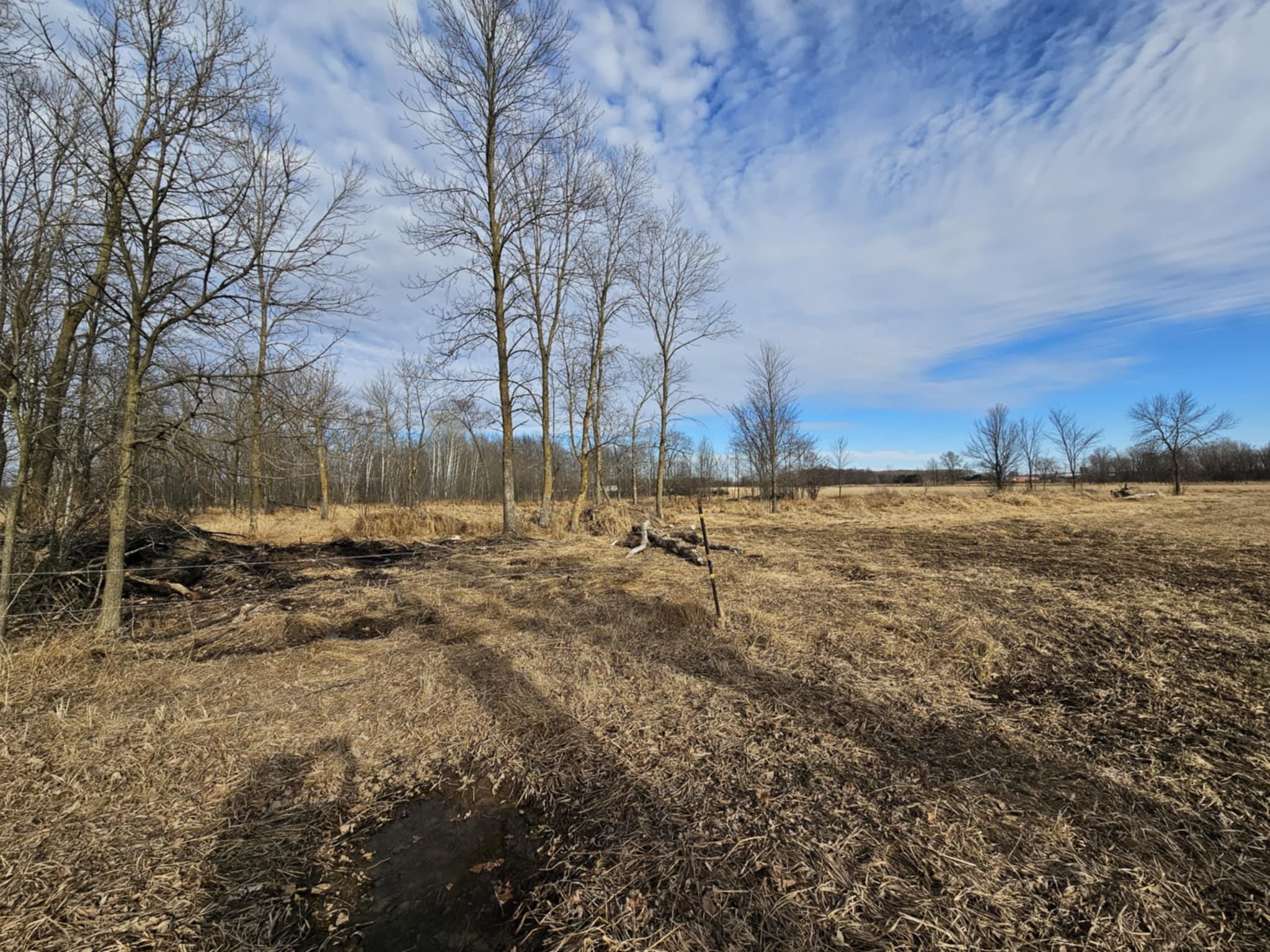 20 Acre Lot KLONDIKE DRIVE, Marshfield, Wisconsin 54449, ,Land,For Sale,20 Acre Lot KLONDIKE DRIVE,22500917