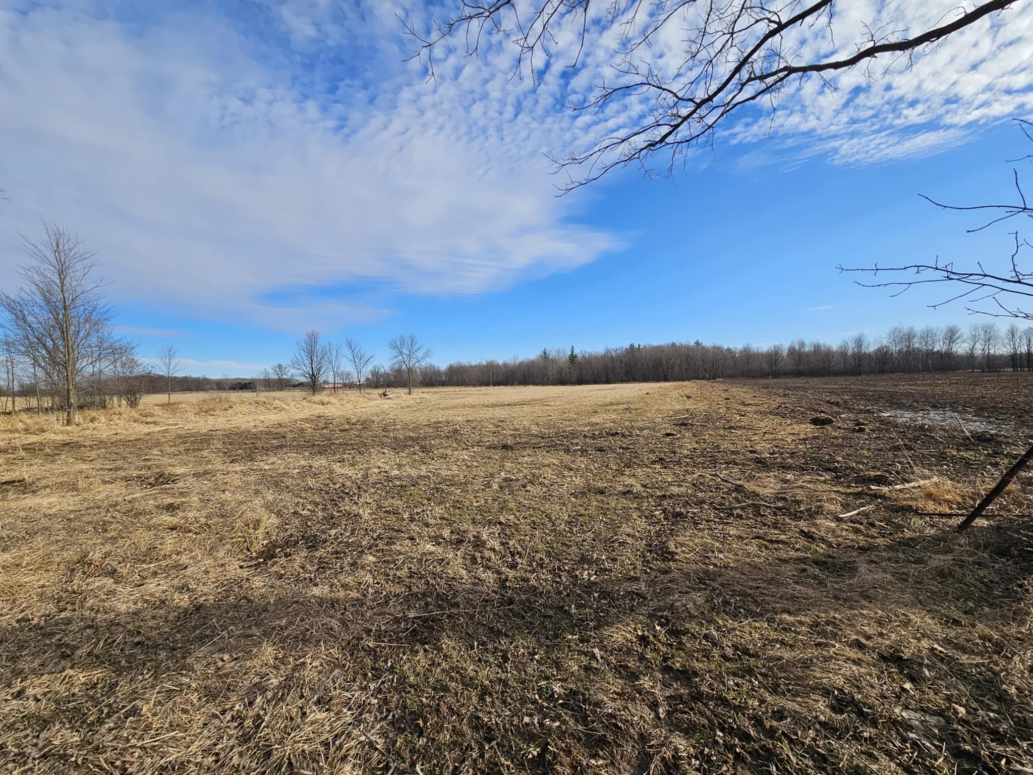 20 Acre Lot KLONDIKE DRIVE, Marshfield, Wisconsin 54449, ,Land,For Sale,20 Acre Lot KLONDIKE DRIVE,22500917