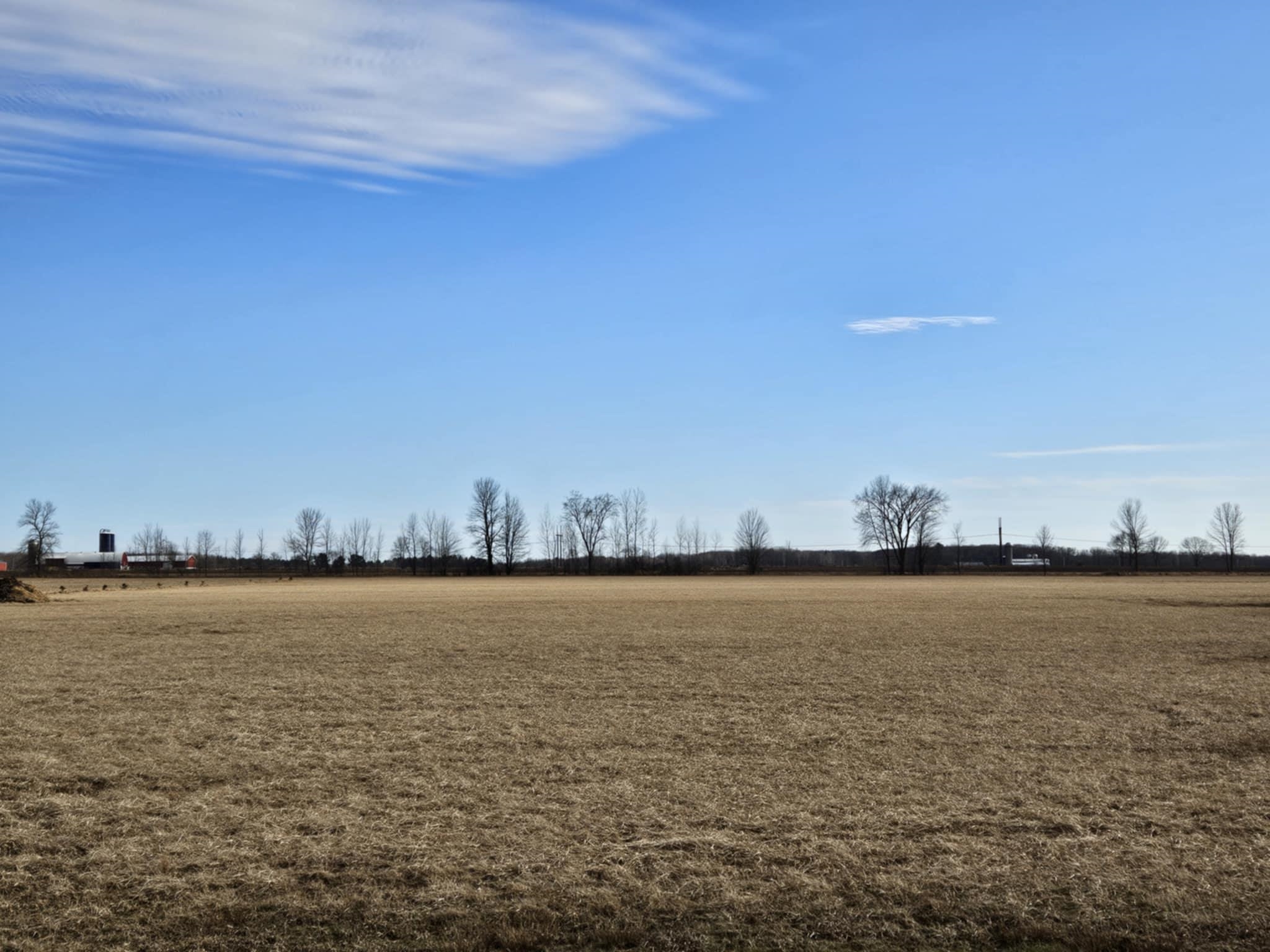 5 Acre Lot KLONDIKE DRIVE, Marshfield, Wisconsin 54449, ,Land,For Sale,5 Acre Lot KLONDIKE DRIVE,22500918