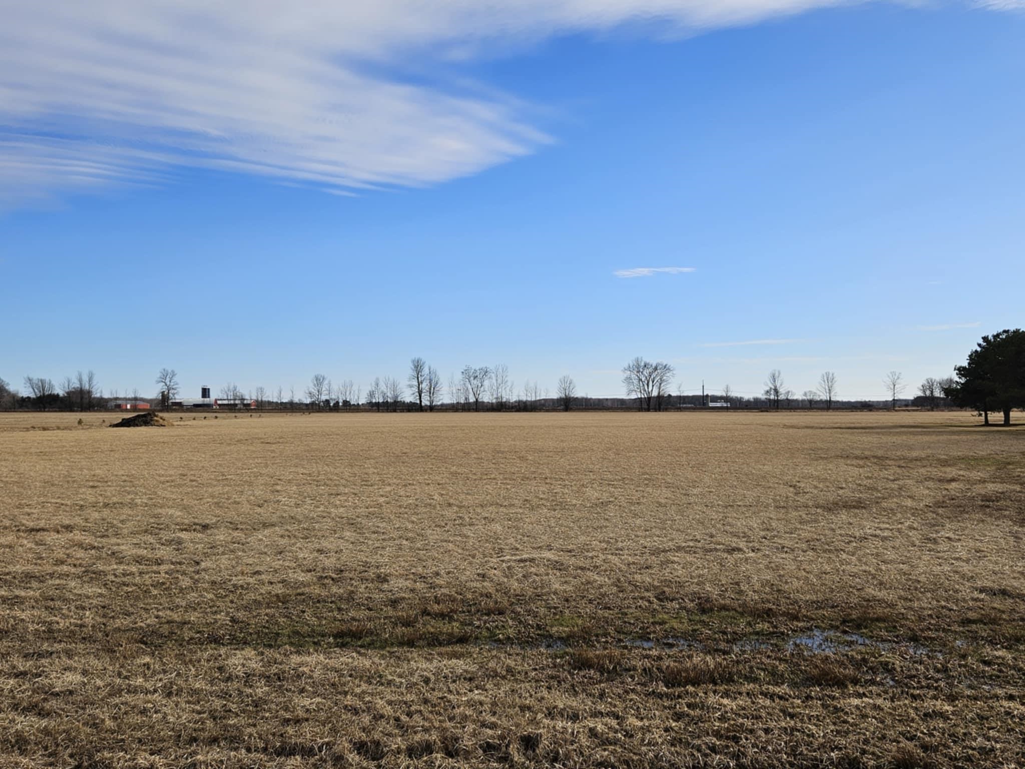 5 Acre Lot KLONDIKE DRIVE, Marshfield, Wisconsin 54449, ,Land,For Sale,5 Acre Lot KLONDIKE DRIVE,22500918