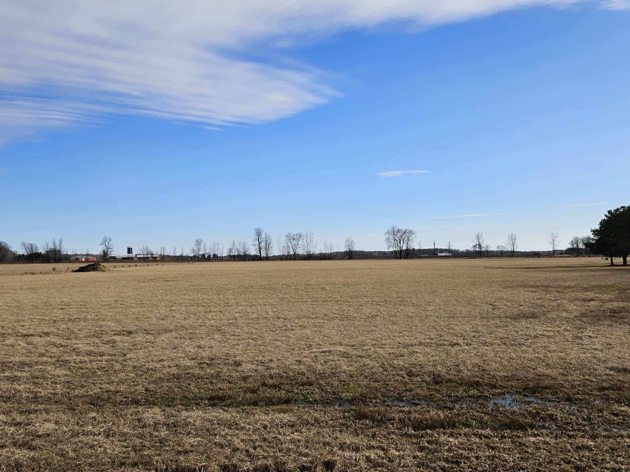 5 Acre Lot KLONDIKE DRIVE, Marshfield, Wisconsin 54449, ,Land,For Sale,5 Acre Lot KLONDIKE DRIVE,22500918