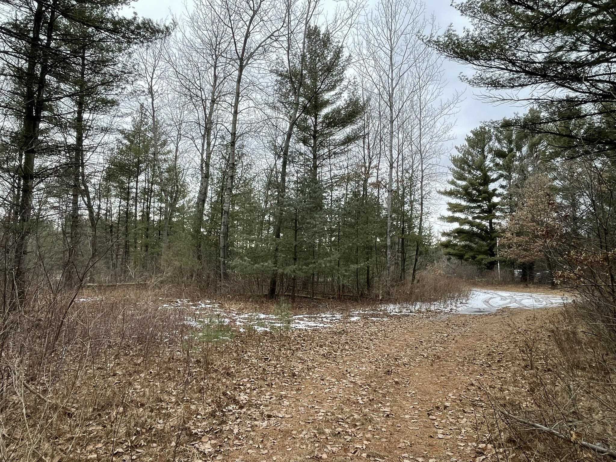 40 Acres SENECA ROAD, Port Edwards, Wisconsin 54469, ,Land,For Sale,40 Acres SENECA ROAD,22501052