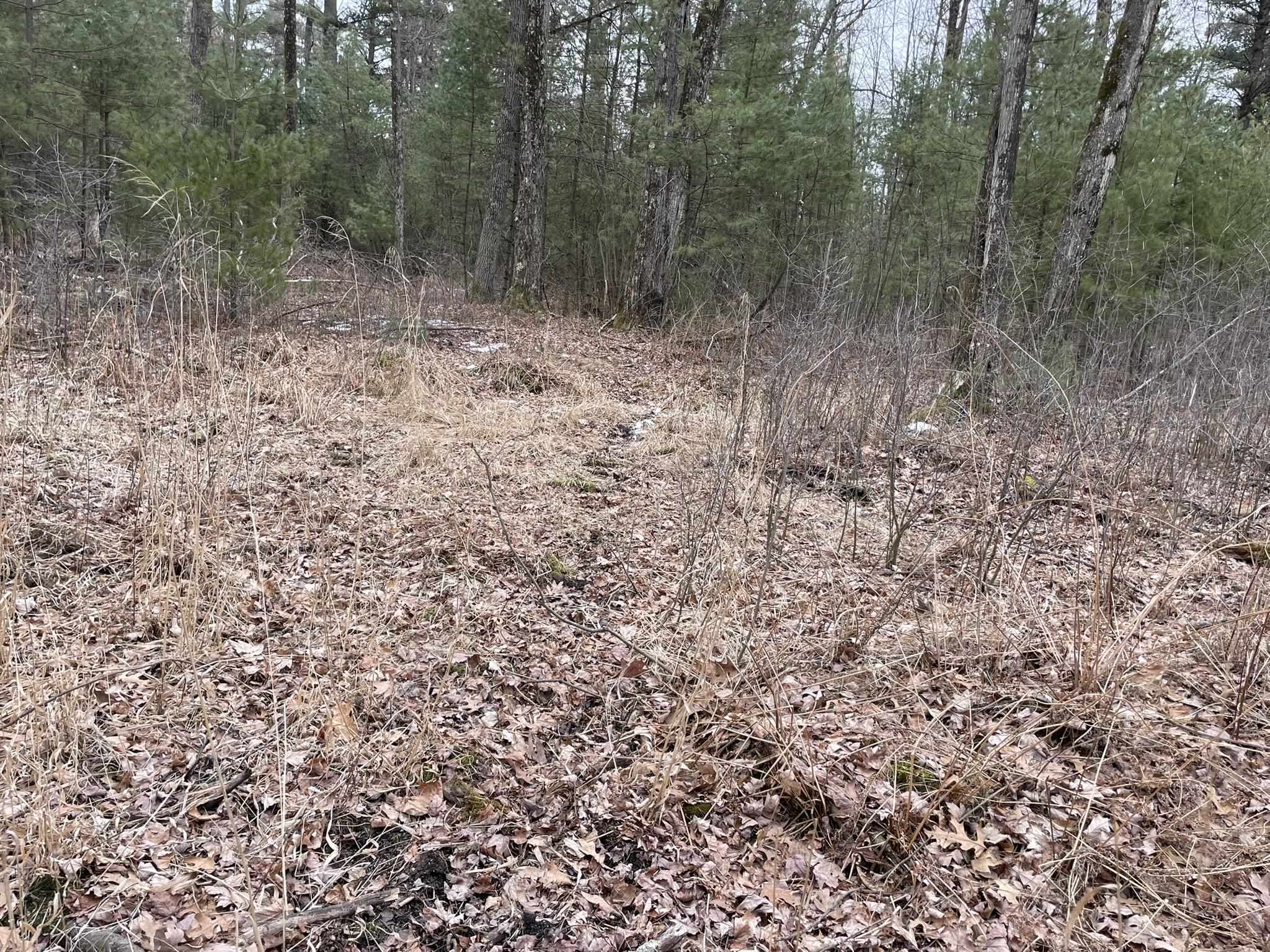40 Acres SENECA ROAD, Port Edwards, Wisconsin 54469, ,Land,For Sale,40 Acres SENECA ROAD,22501052