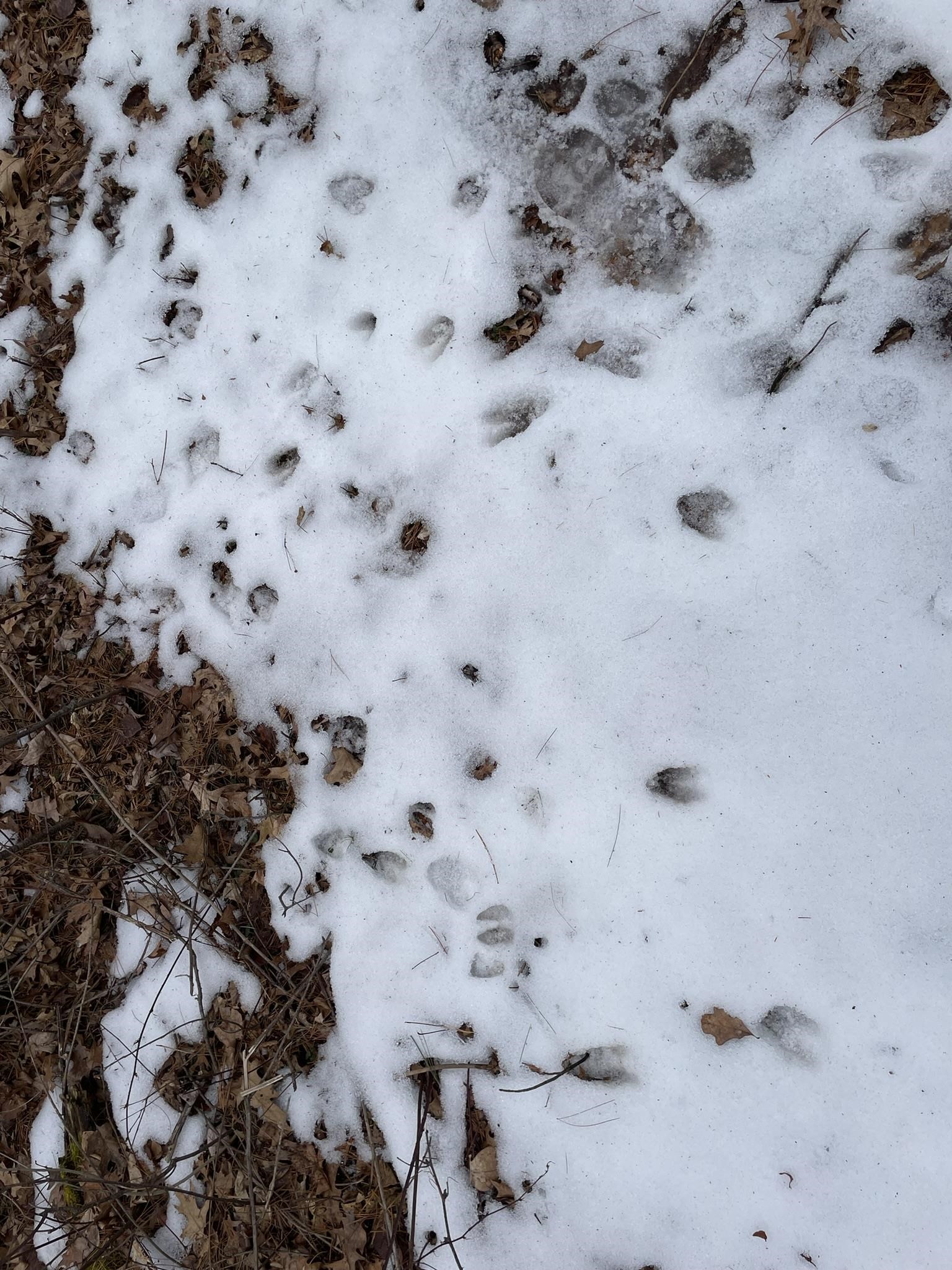 40 Acres SENECA ROAD, Port Edwards, Wisconsin 54469, ,Land,For Sale,40 Acres SENECA ROAD,22501052