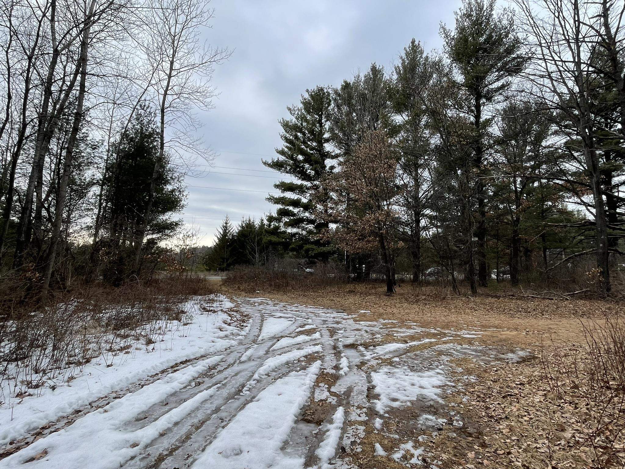 40 Acres SENECA ROAD, Port Edwards, Wisconsin 54469, ,Land,For Sale,40 Acres SENECA ROAD,22501052