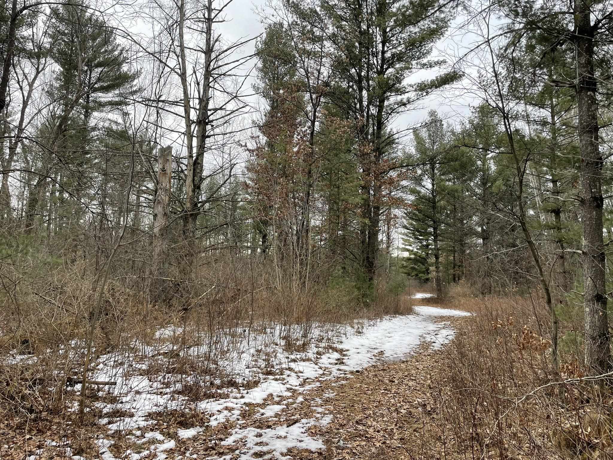 40 Acres SENECA ROAD, Port Edwards, Wisconsin 54469, ,Land,For Sale,40 Acres SENECA ROAD,22501052