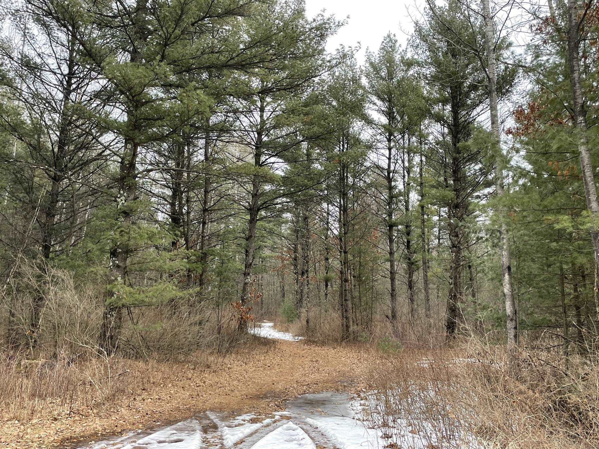 40 Acres SENECA ROAD, Port Edwards, Wisconsin 54469, ,Land,For Sale,40 Acres SENECA ROAD,22501052