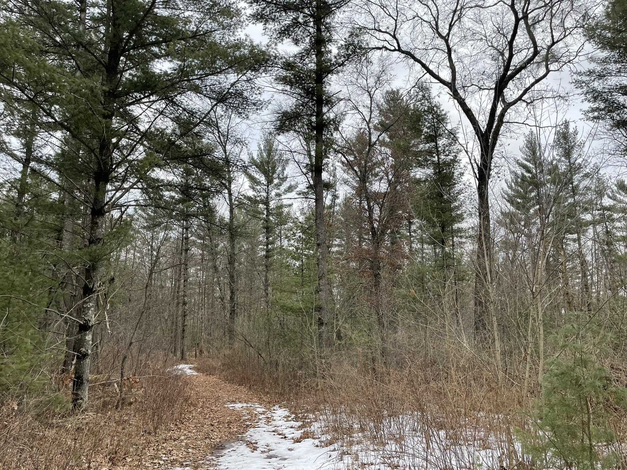 40 Acres SENECA ROAD, Port Edwards, Wisconsin 54469, ,Land,For Sale,40 Acres SENECA ROAD,22501052