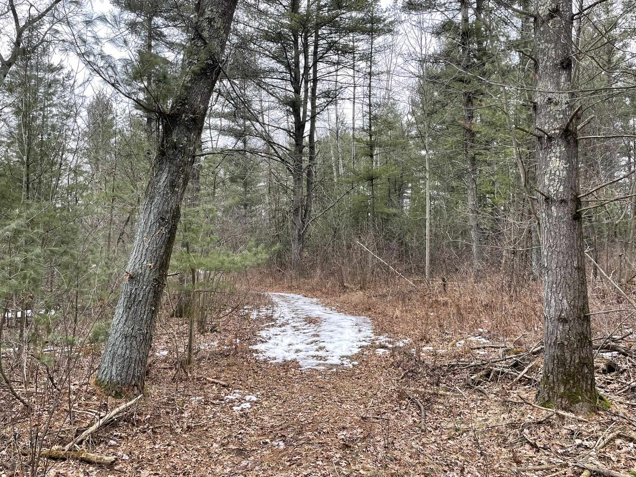 40 Acres SENECA ROAD, Port Edwards, Wisconsin 54469, ,Land,For Sale,40 Acres SENECA ROAD,22501052