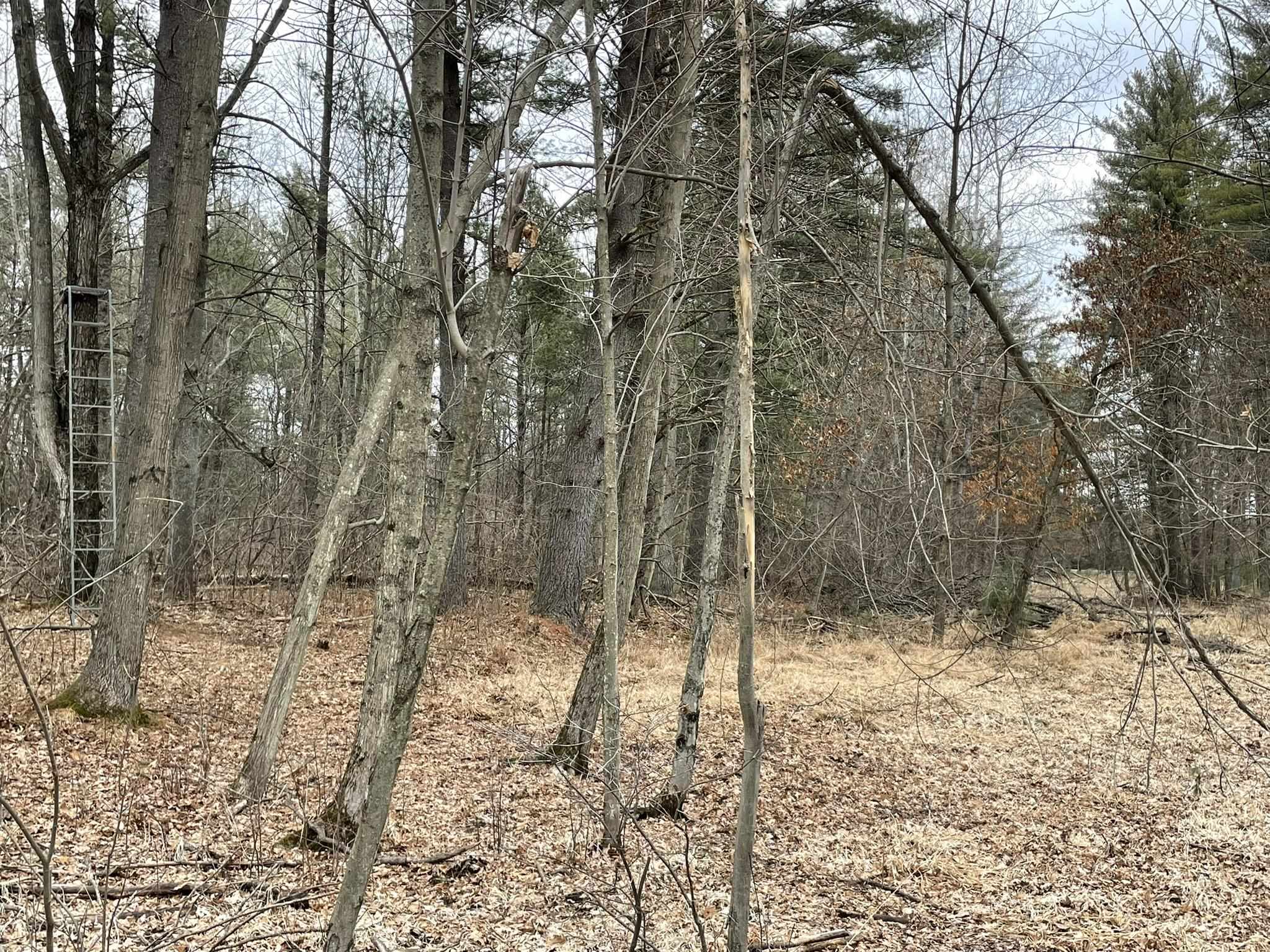 40 Acres SENECA ROAD, Port Edwards, Wisconsin 54469, ,Land,For Sale,40 Acres SENECA ROAD,22501052