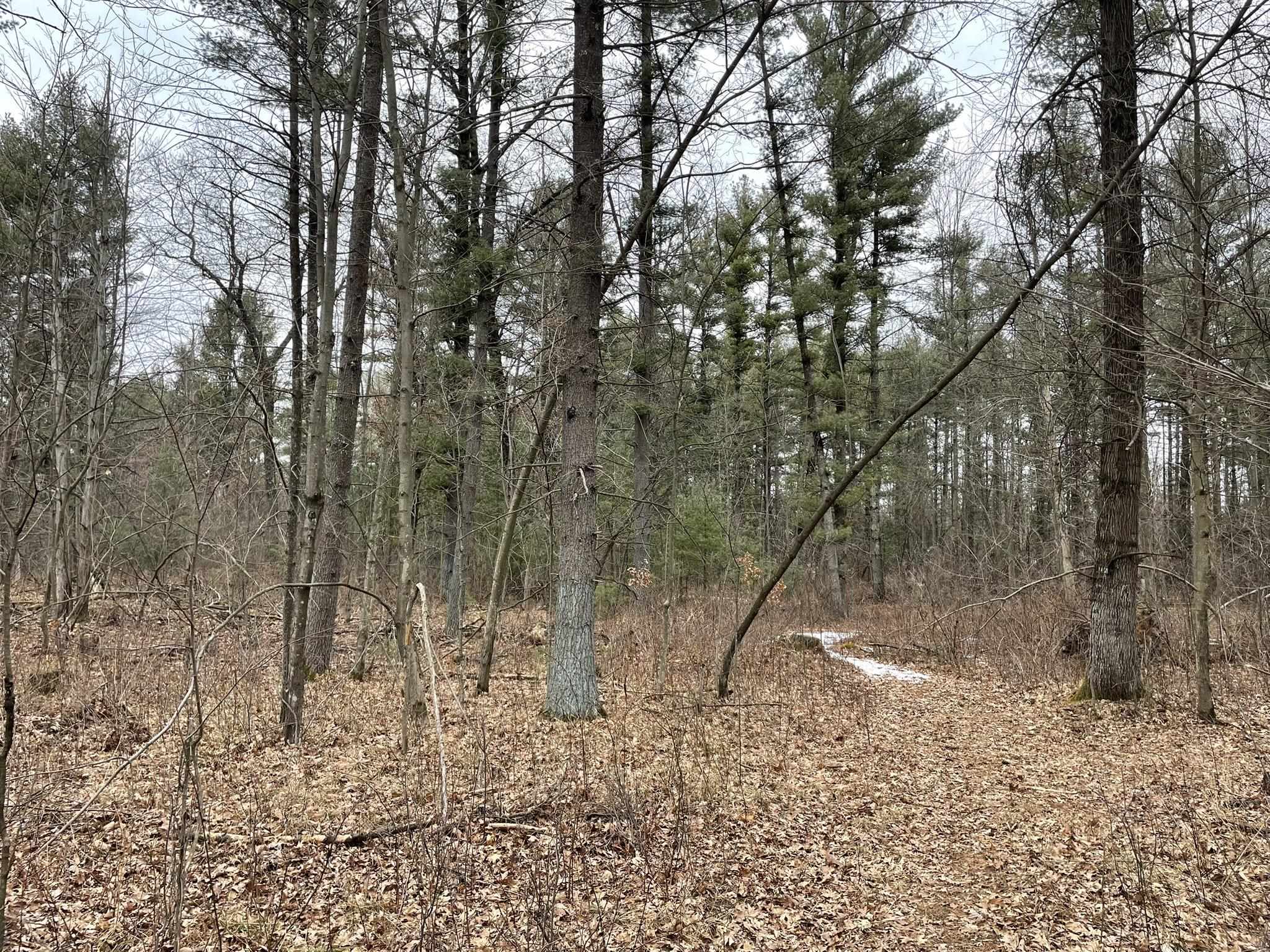 40 Acres SENECA ROAD, Port Edwards, Wisconsin 54469, ,Land,For Sale,40 Acres SENECA ROAD,22501052