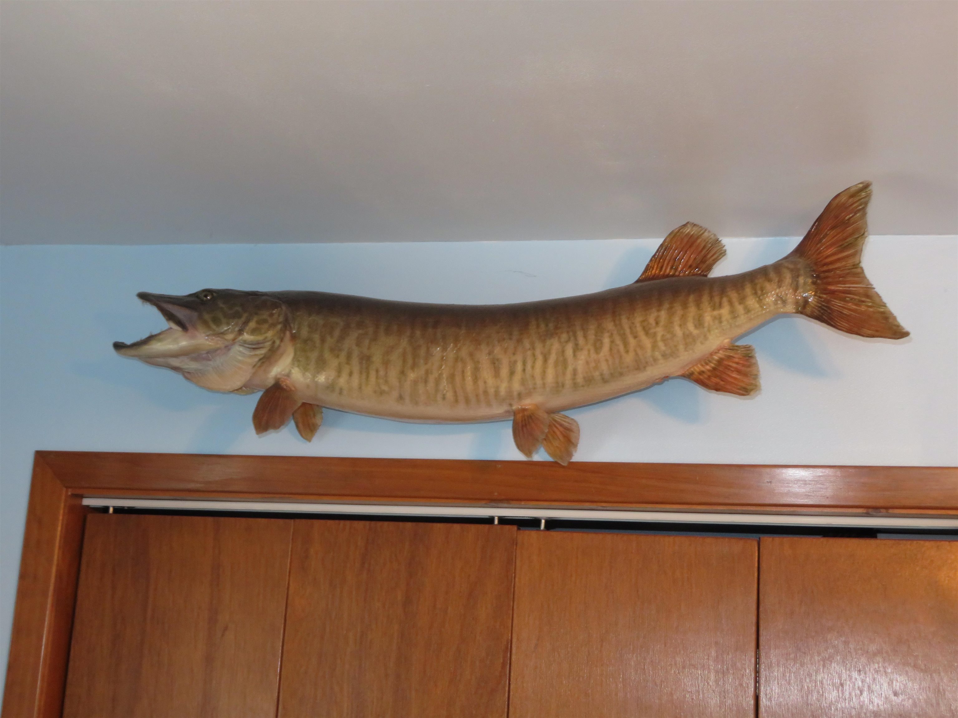 N4443 Crappie Road, Medford, Wisconsin 54451, 4 Bedrooms Bedrooms, ,2 BathroomsBathrooms,Residential,For Sale,N4443 Crappie Road,22501091