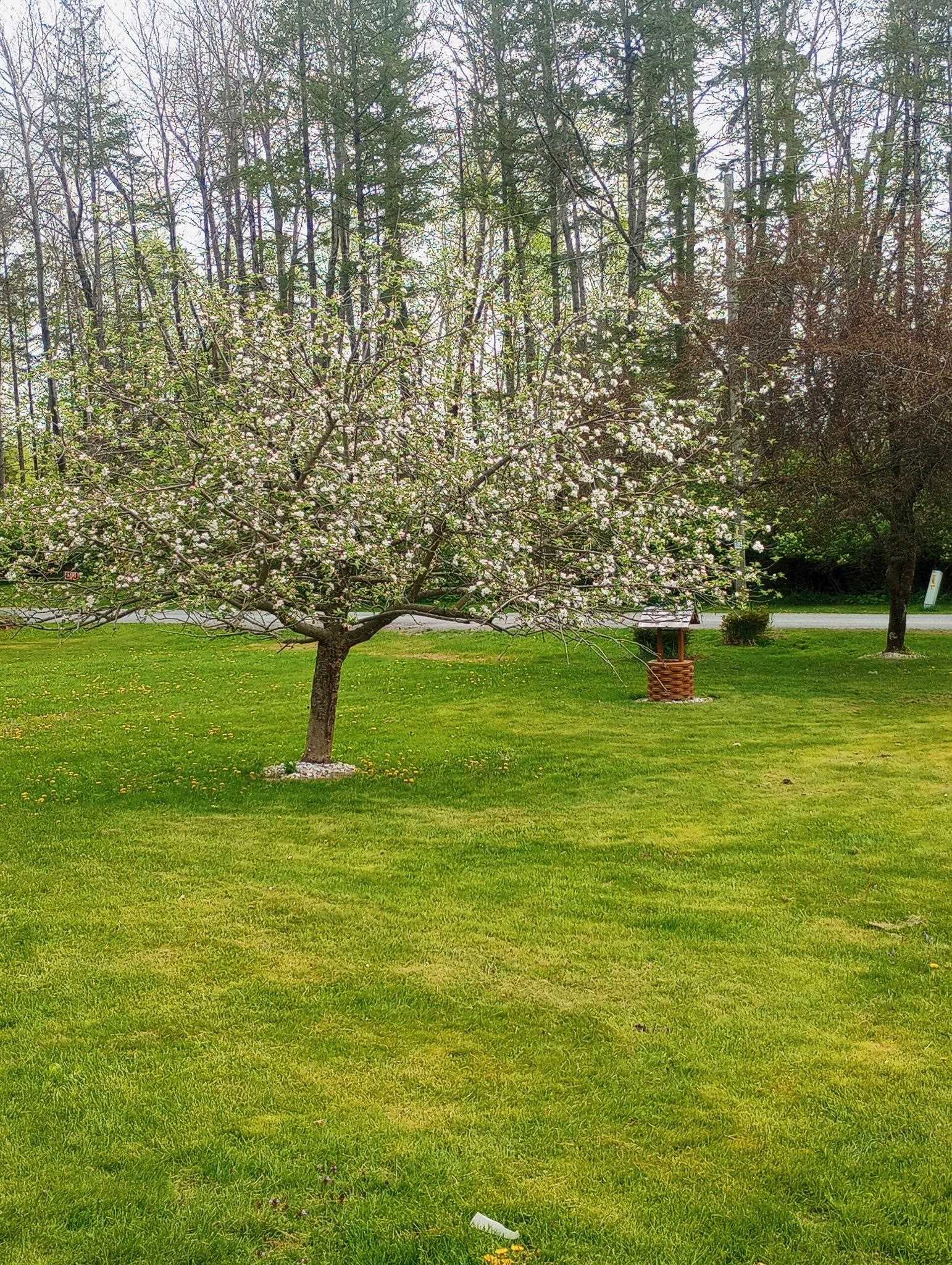 N4443 Crappie Road, Medford, Wisconsin 54451, 4 Bedrooms Bedrooms, ,2 BathroomsBathrooms,Residential,For Sale,N4443 Crappie Road,22501091