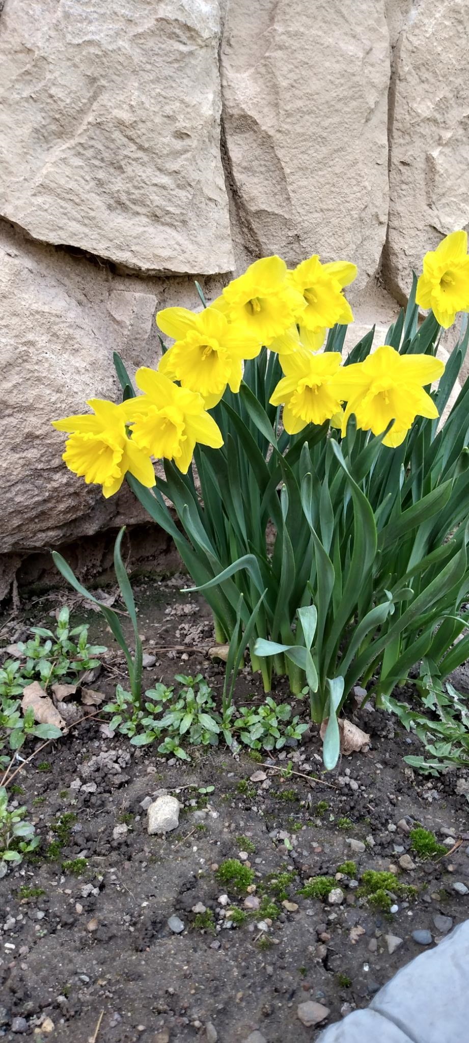 N4443 Crappie Road, Medford, Wisconsin 54451, 4 Bedrooms Bedrooms, ,2 BathroomsBathrooms,Residential,For Sale,N4443 Crappie Road,22501091